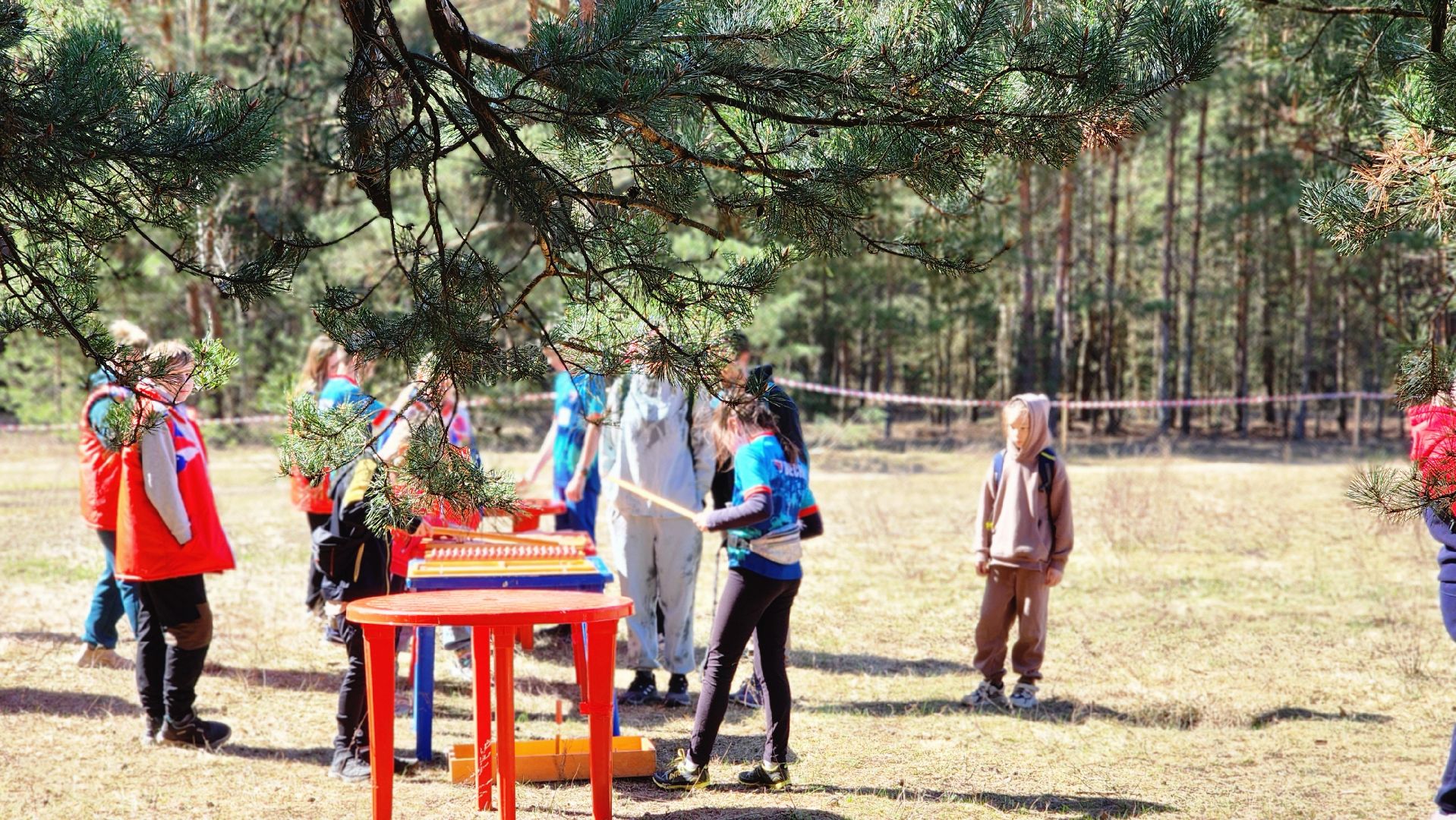 протвинские сосны, спортивное ориентирование, фестиваль, протвино, дюц горизонт, волонтеры подмосковья,