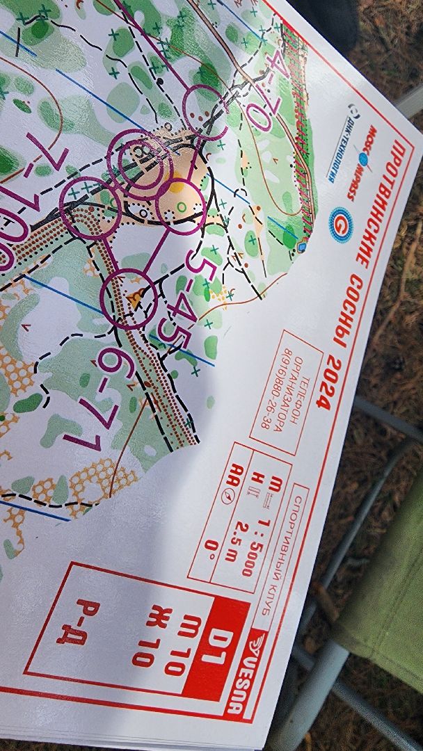 протвинские сосны, спортивное ориентирование, фестиваль, протвино, дюц горизонт, волонтеры подмосковья,