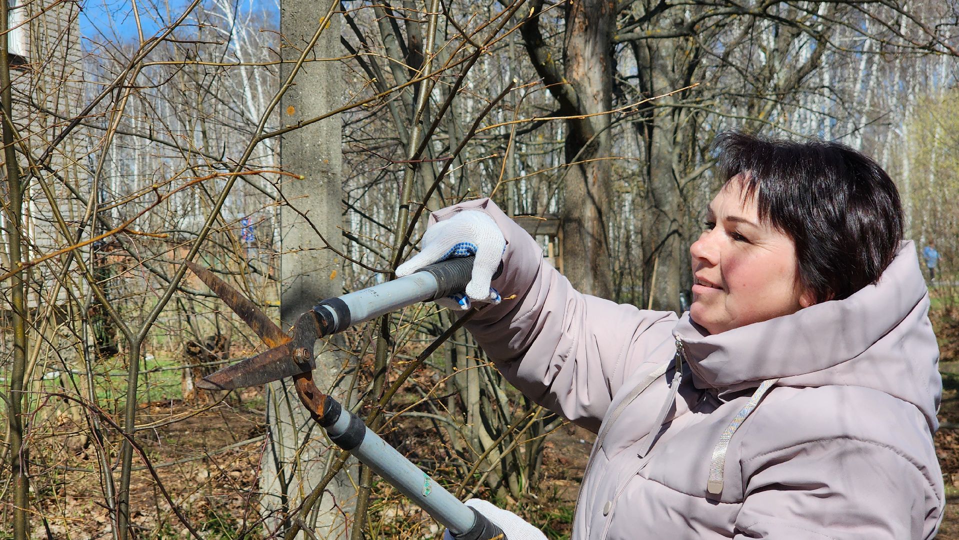 Егорьевск, Подмосковье, Московская область, акция, субботник,