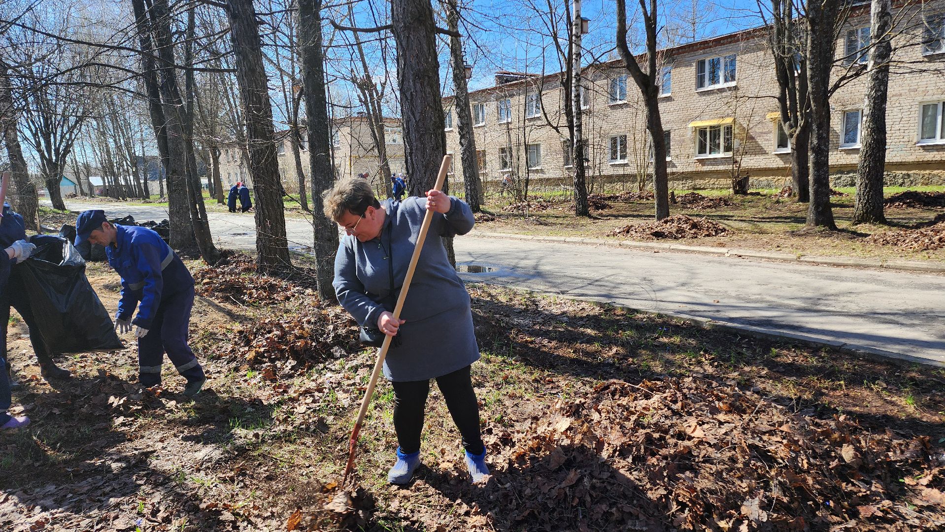 Егорьевск, Подмосковье, Московская область, акция, субботник,