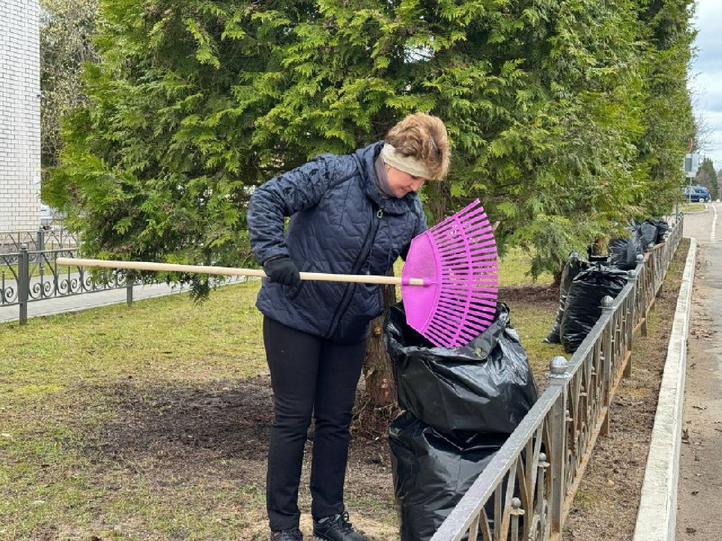 субботник, чистое подмосковье,