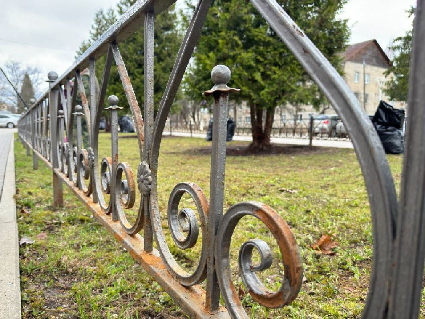 субботник, чистое подмосковье,