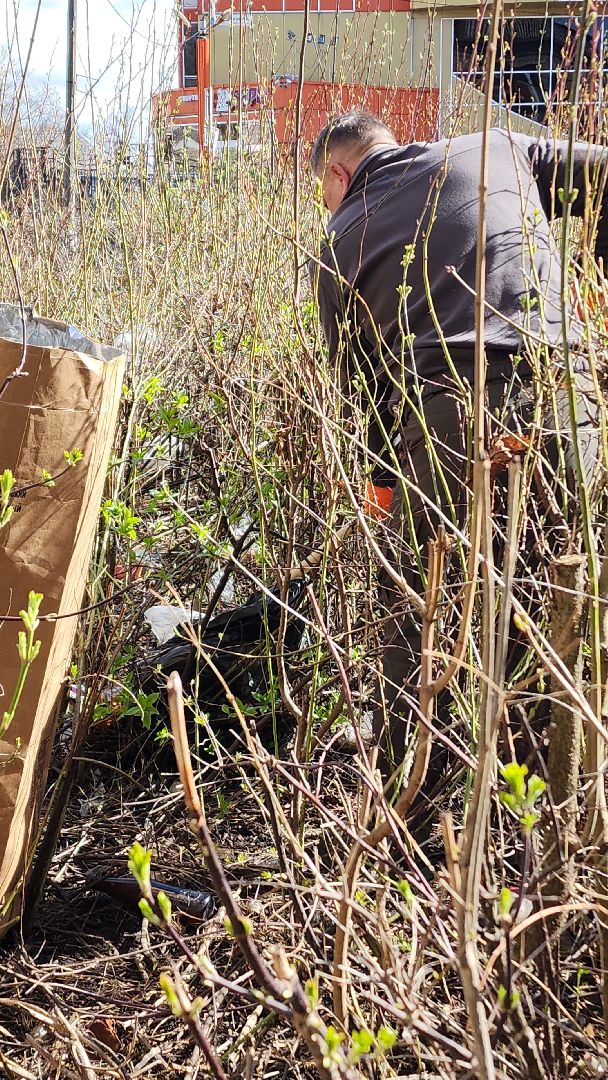 электросталь, мой город, жители города, администрация, администрация города, субботник, субботники, уборка общественных территорий,
