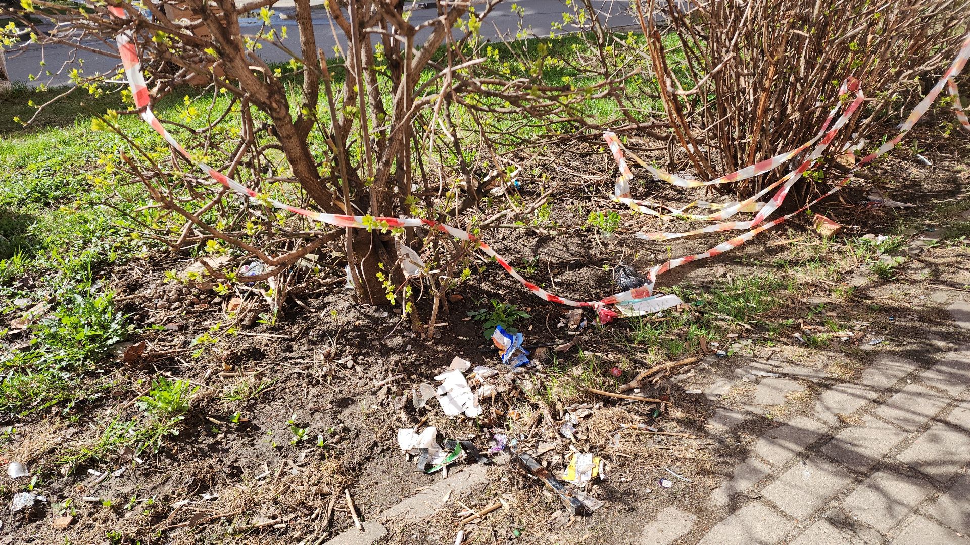 электросталь, мой город, жители города, администрация, администрация города, субботник, субботники, уборка общественных территорий,