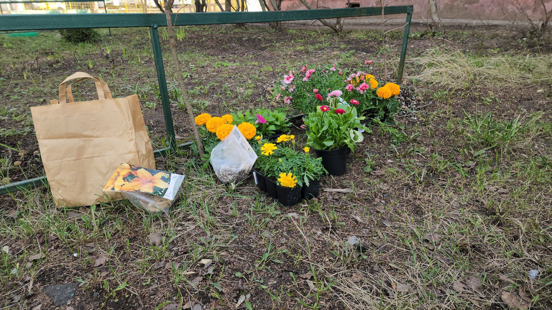 субботник, месяц чистоты и благоустройства,