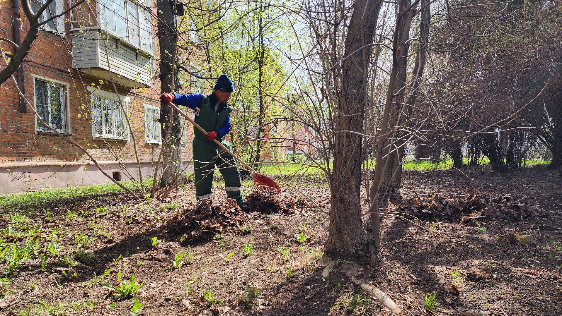 субботник, месяц чистоты и благоустройства,