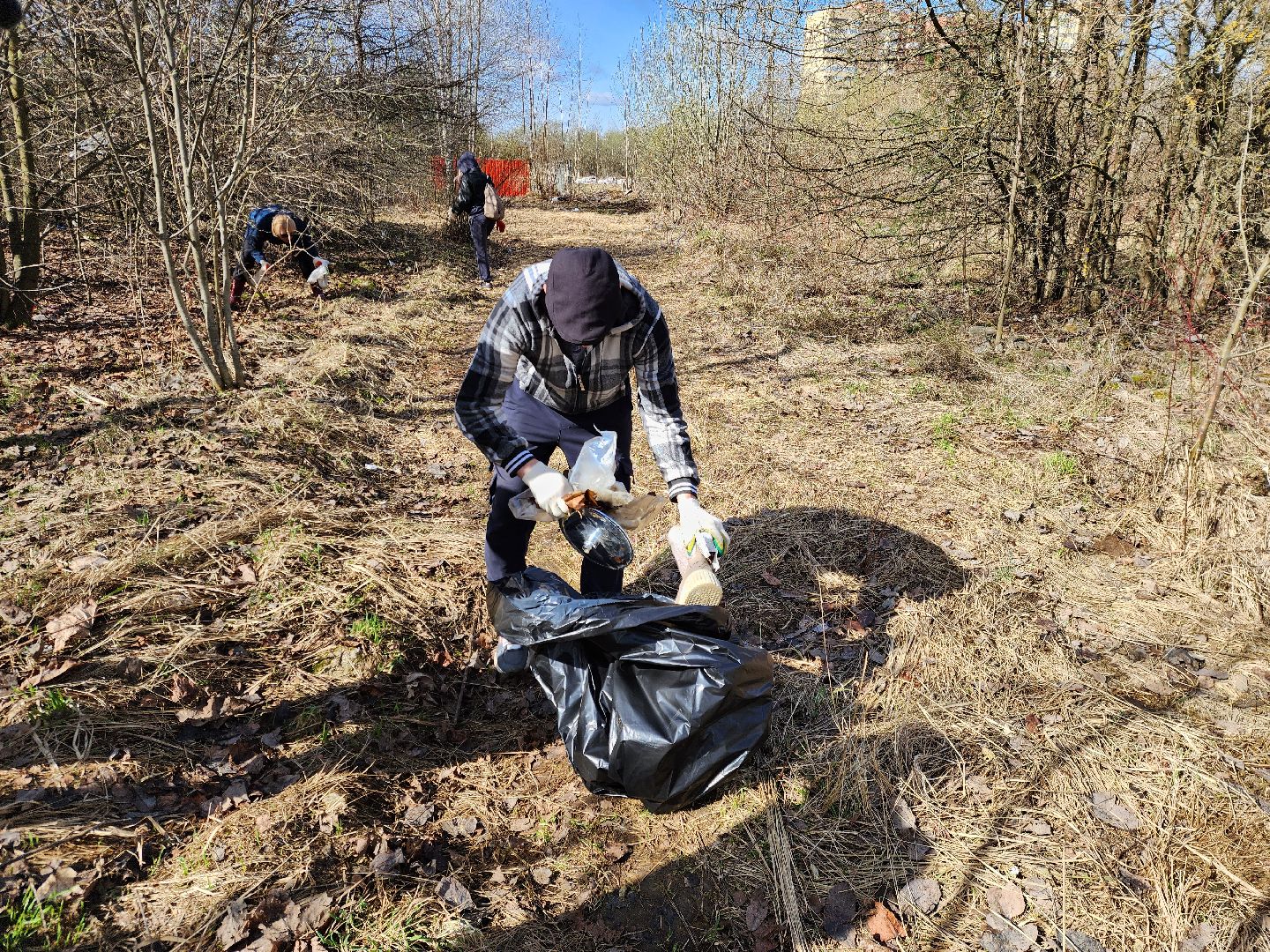 ногинск, субботник, управляющая компания, благоустройство,