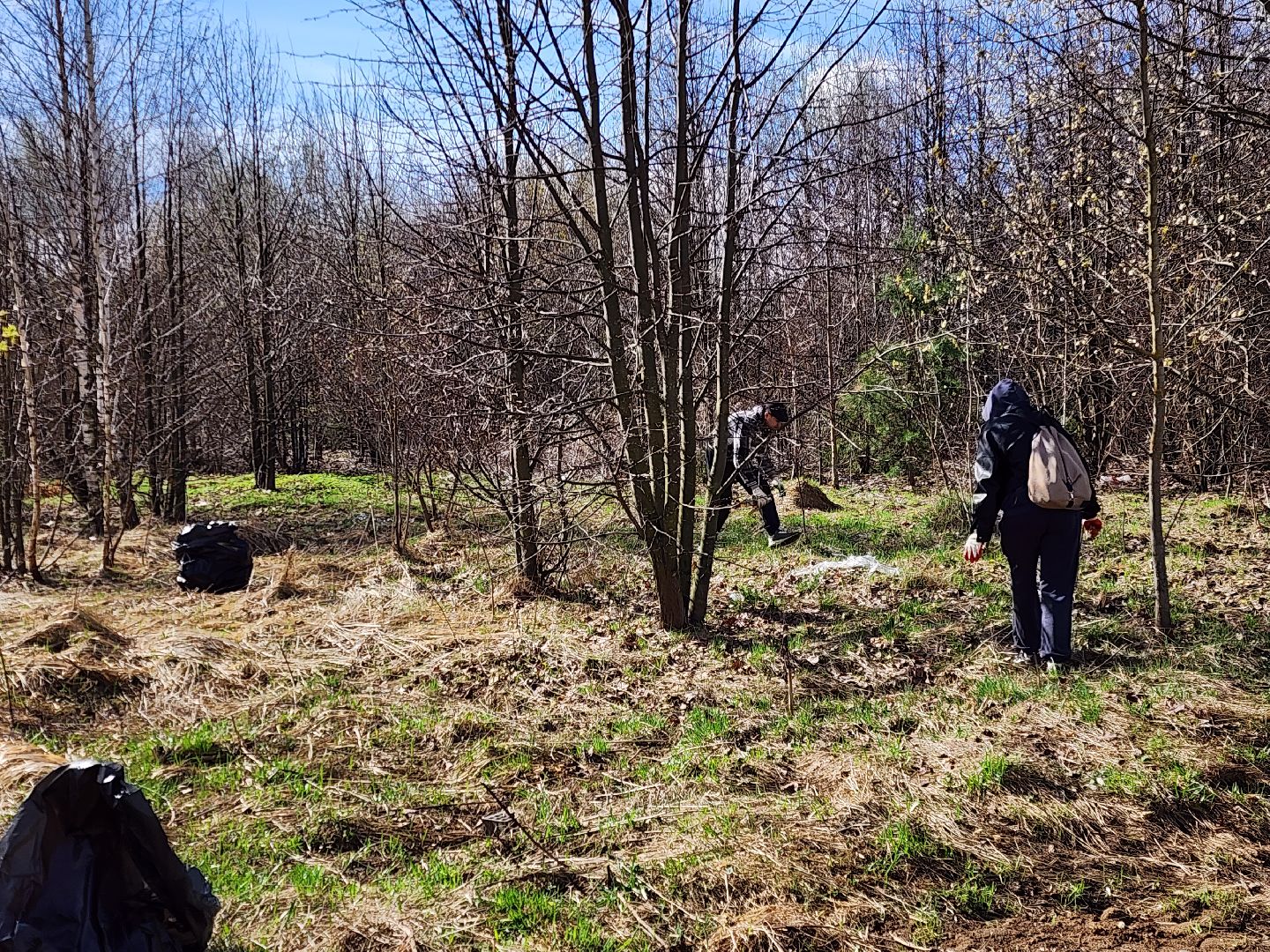 ногинск, субботник, управляющая компания, благоустройство,