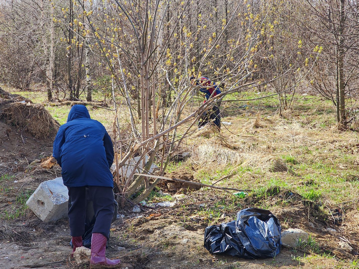 ногинск, субботник, управляющая компания, благоустройство,