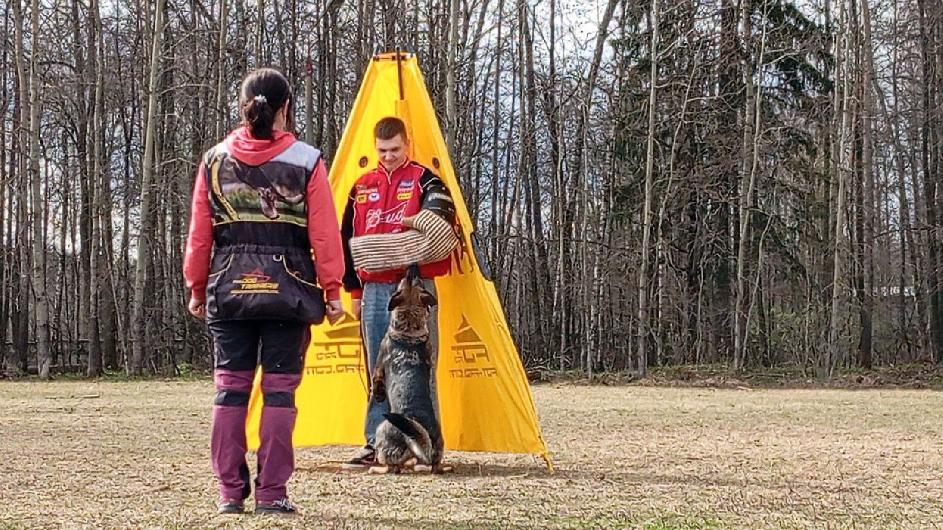 губернский колледж, день открытых дверей, абитуриенты, образование, протвино,