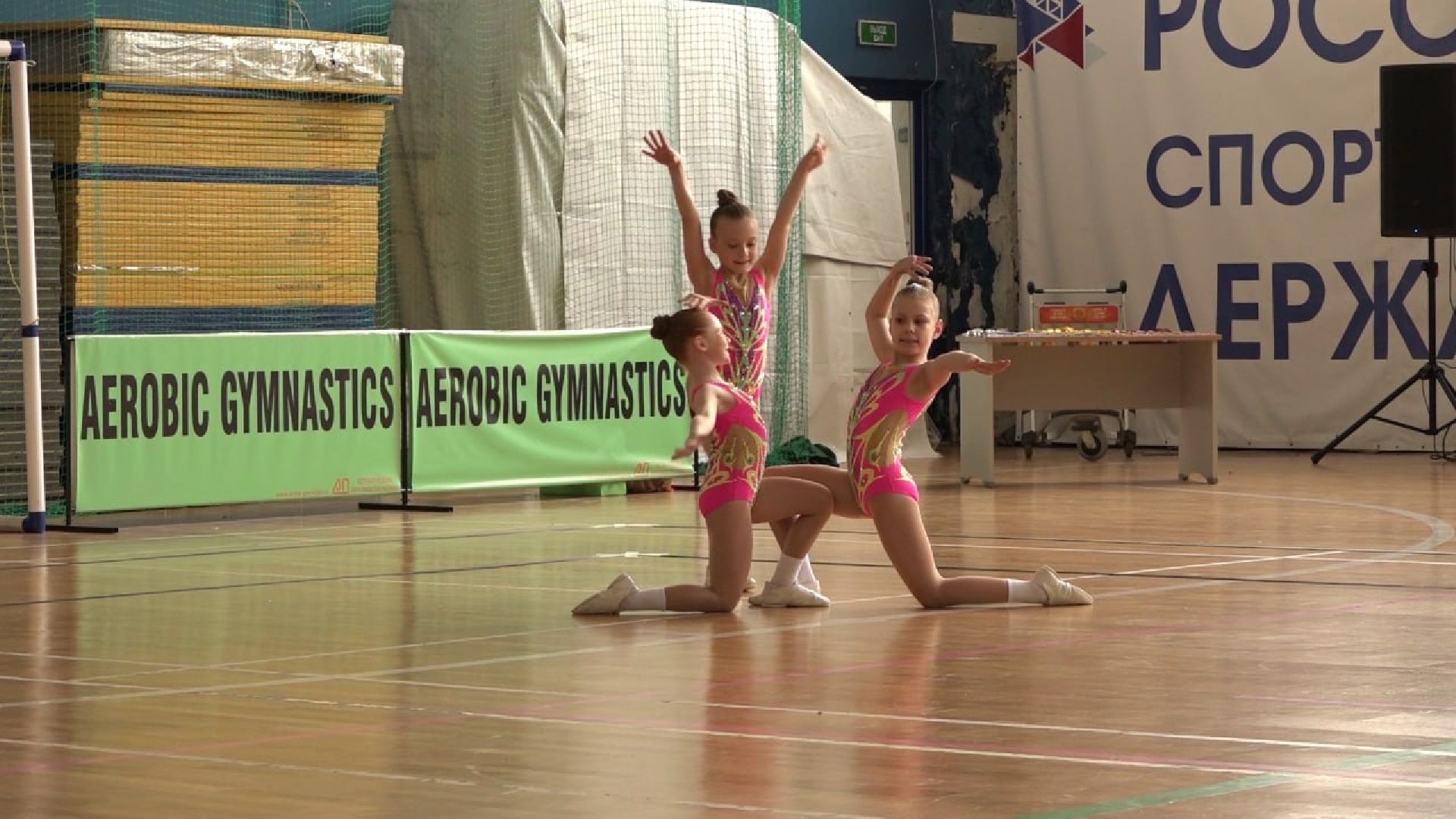 Солнечногорск, Аэробика, Чемпионат, Весенние ласточки, Медали,