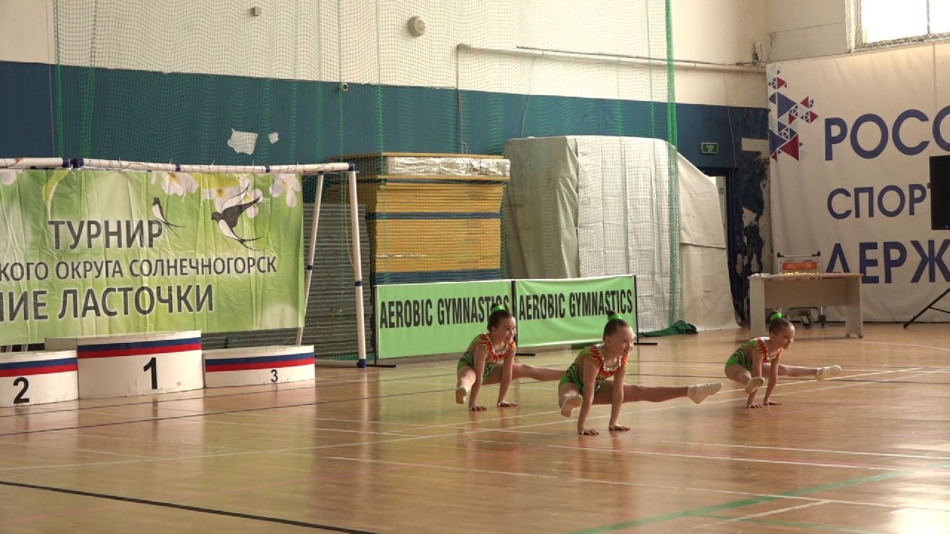 Солнечногорск, Аэробика, Чемпионат, Весенние ласточки, Медали,