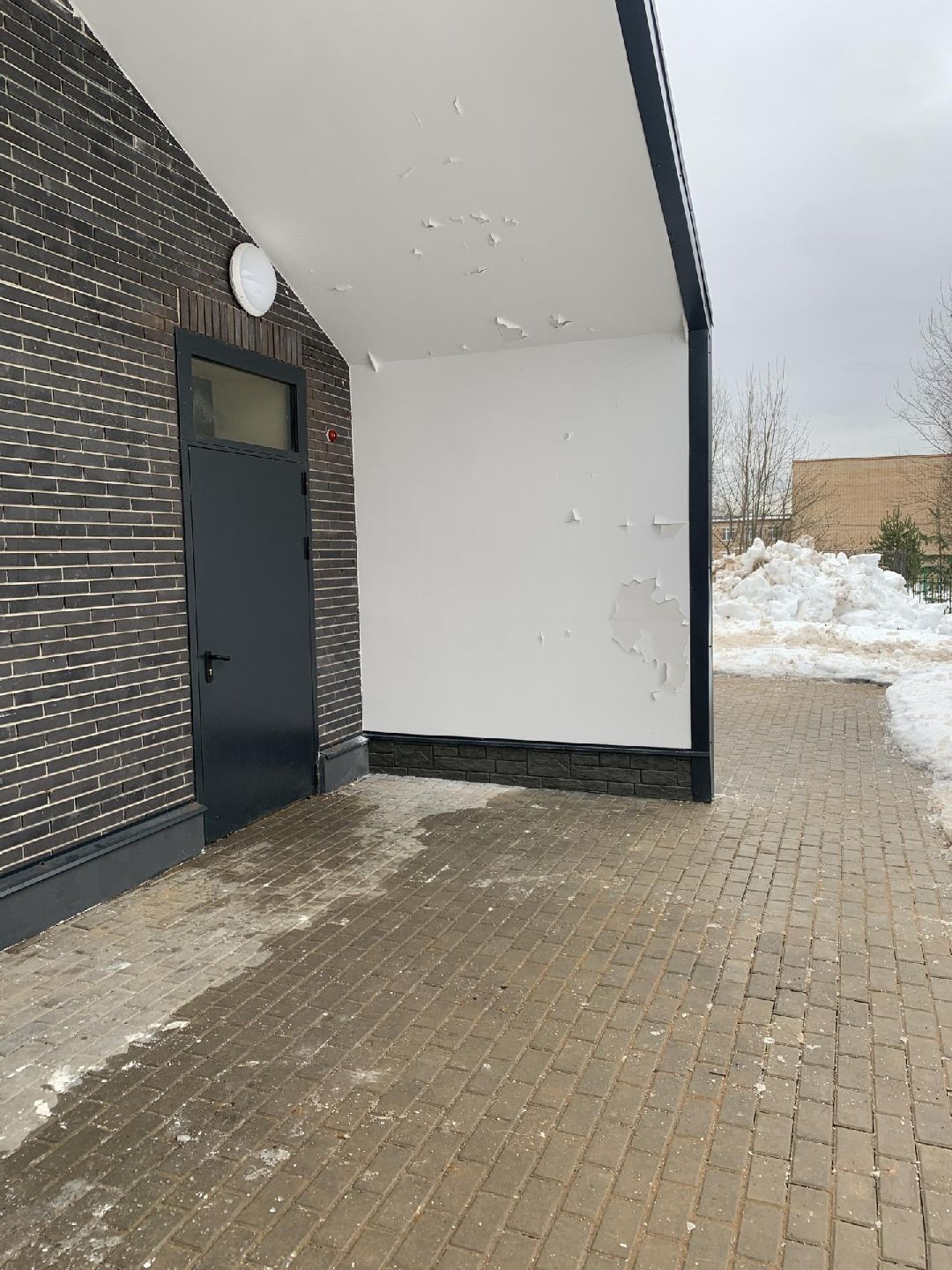 Краснознаменск, общество