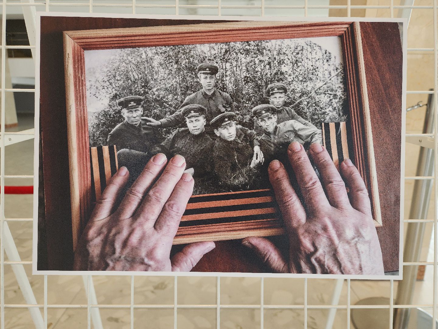 серебряные волонтеры, интернат, пожилые люди, экспозиция, фотовыставка, помощь людям,