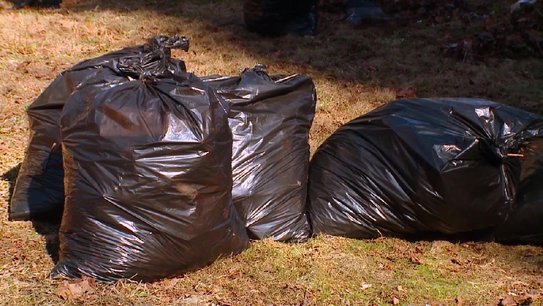 Реутов, ЖКХ, чистота, уборка, порядок, управляющие компании, месячник, благоустройство