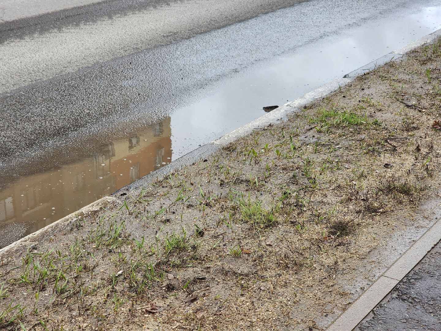 Благоустройство, Уборка города, Коммунальные службы, Дубна,