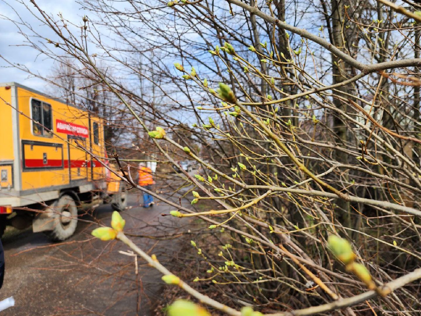 можайск, можайский городской округ, подмосковье, жкх, рейд, несанкционированное подключение, централизованные сети, нарушения, договор,