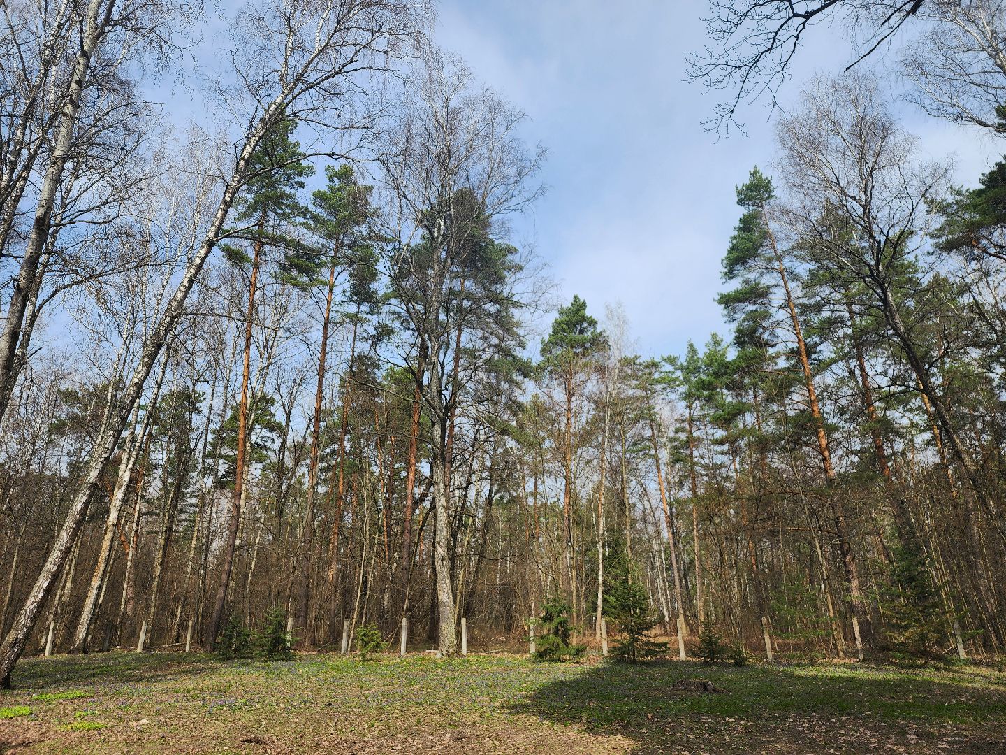 серпухов, подмосковье, русский лес, противопожарная безопасность,