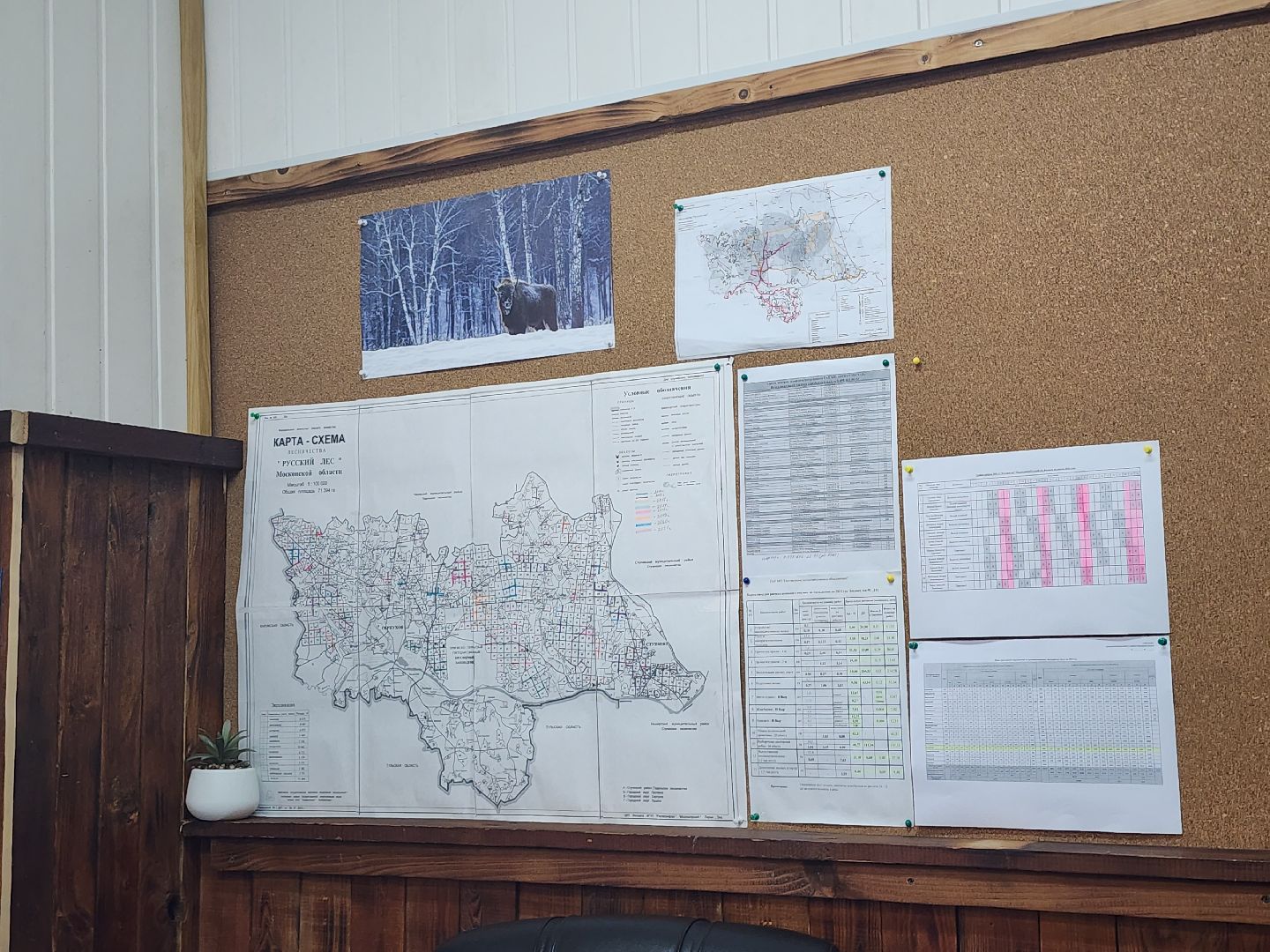 серпухов, подмосковье, русский лес, противопожарная безопасность,