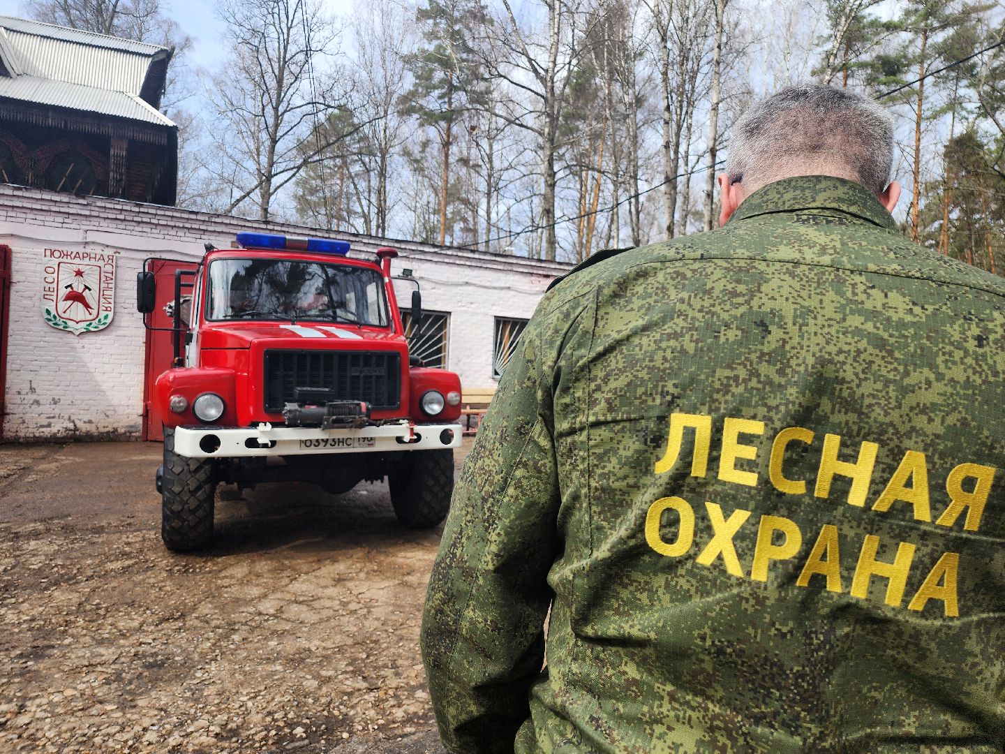 серпухов, подмосковье, русский лес, противопожарная безопасность,