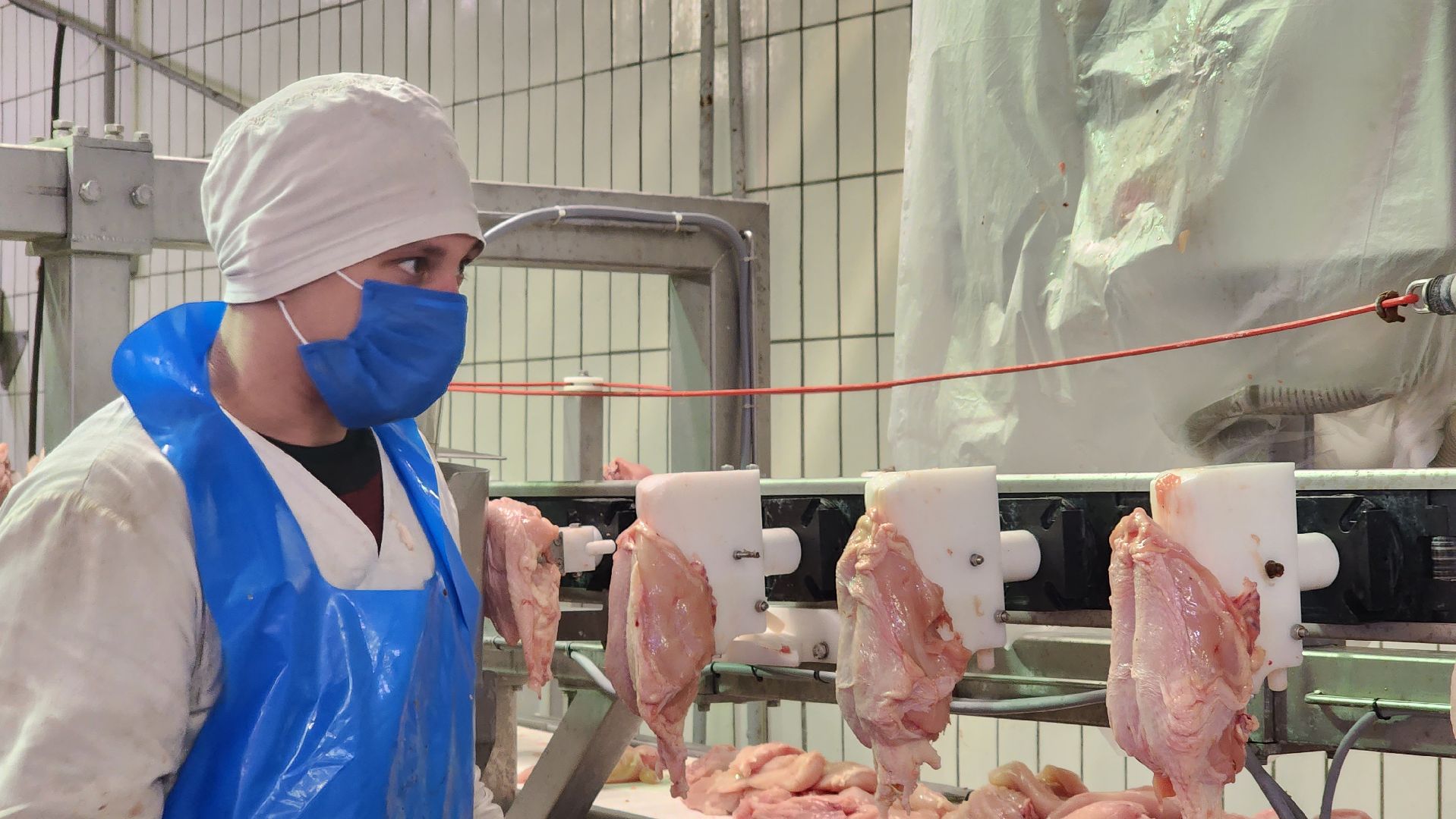 экономика, предприятия, нацпроект Производительность труда, бережливое производство, Лосино-Петровский,