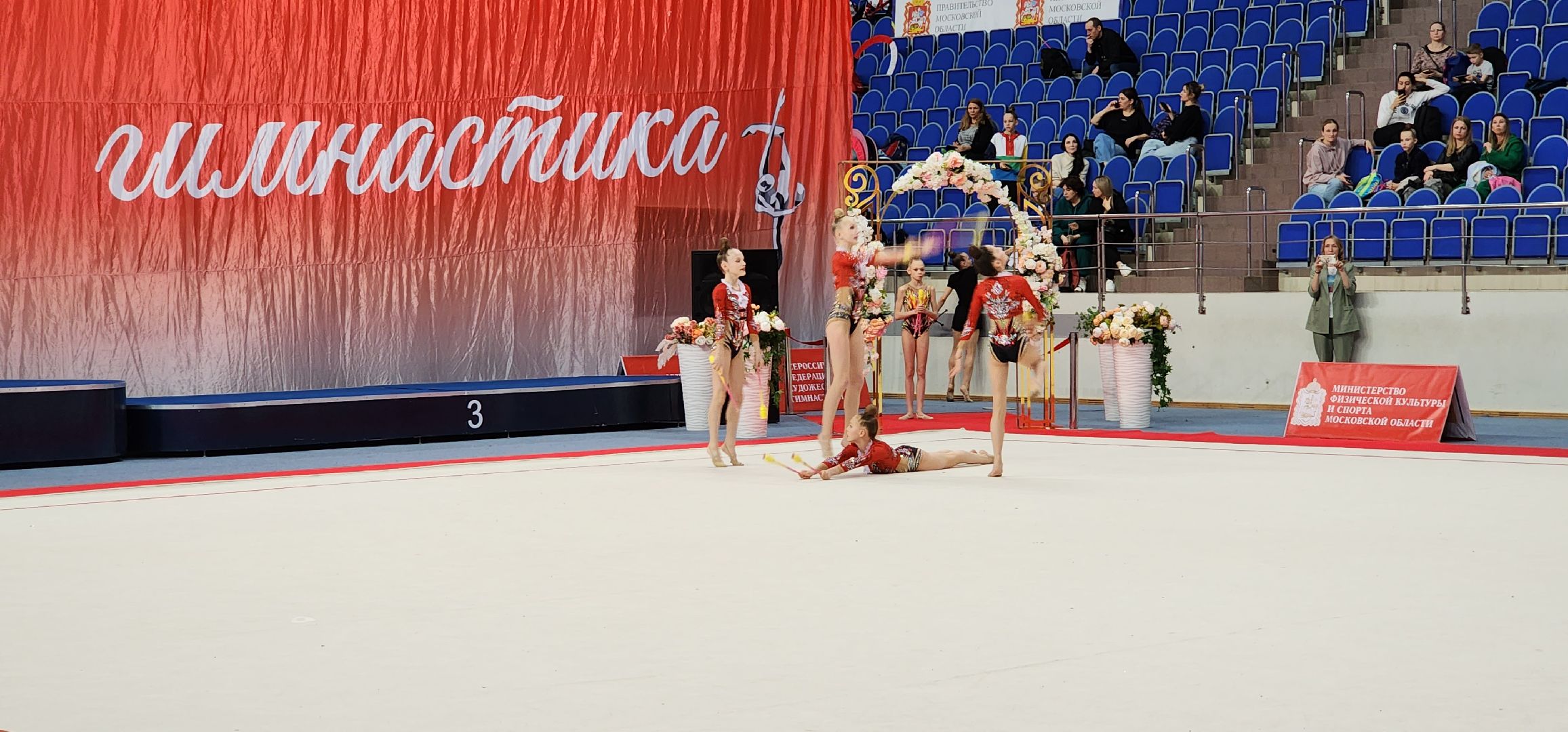 раменское, спорт, всероссийские соревнования по художественной гимнастике, ДС Борисоглебский,