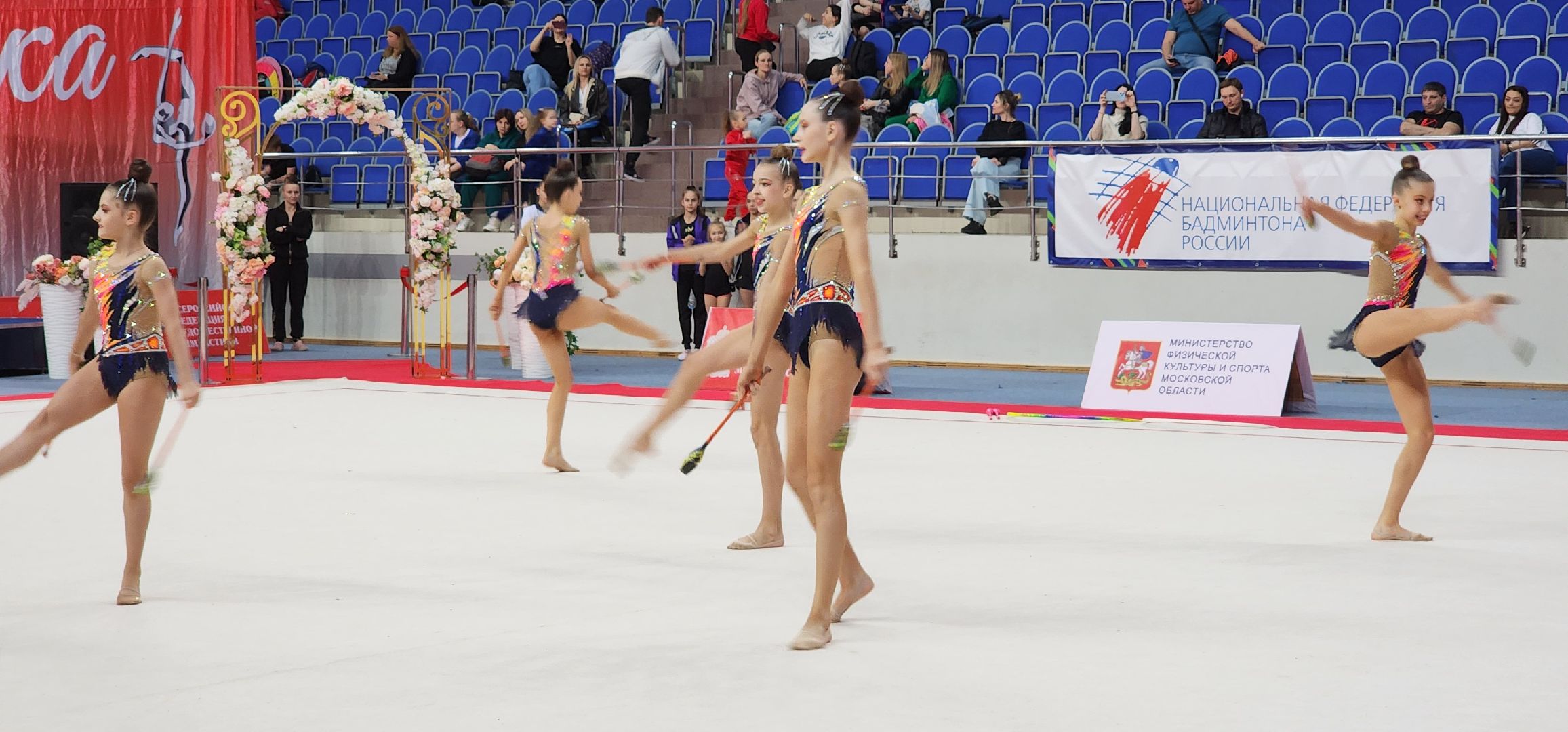 раменское, спорт, всероссийские соревнования по художественной гимнастике, ДС Борисоглебский,