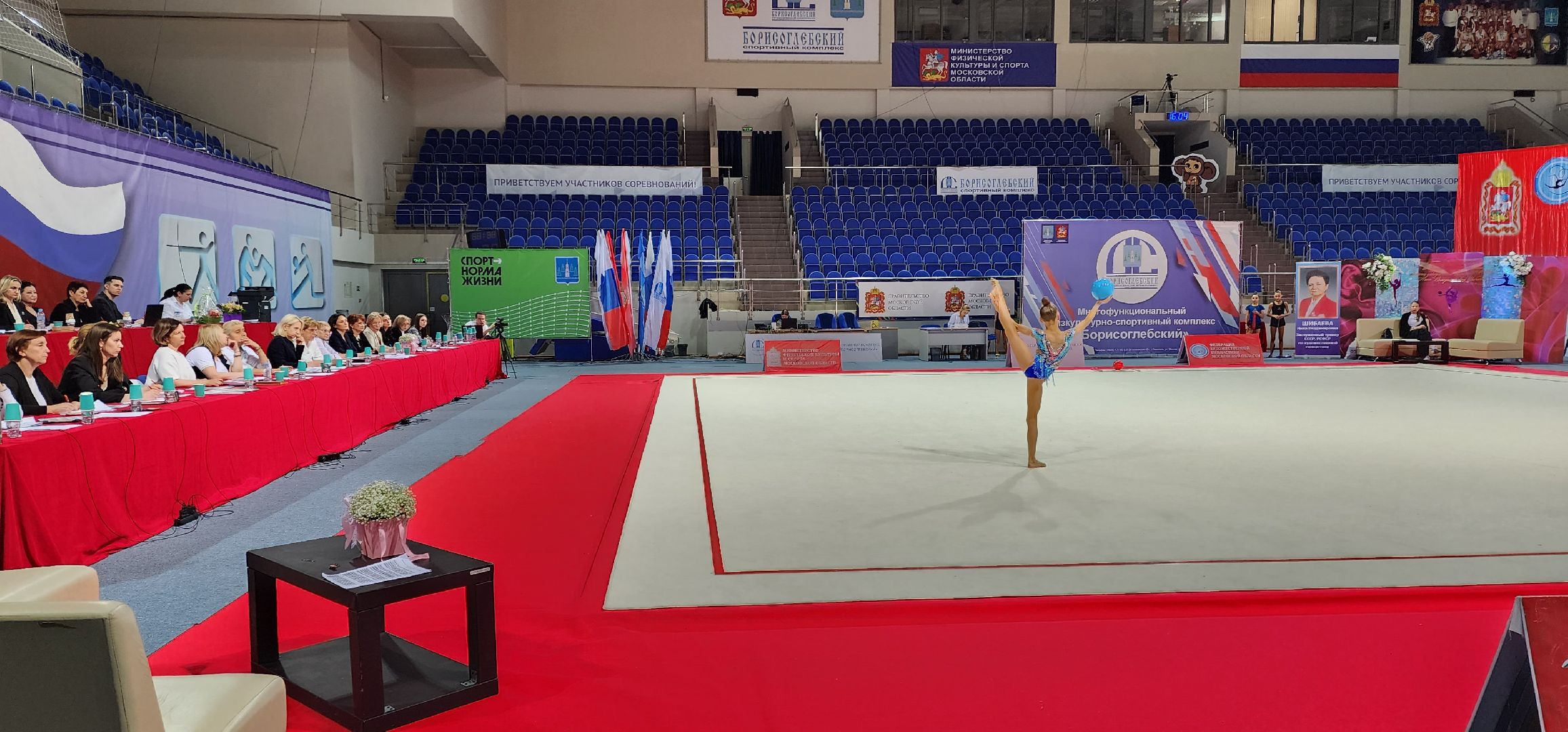 раменское, спорт, всероссийские соревнования по художественной гимнастике, ДС Борисоглебский,