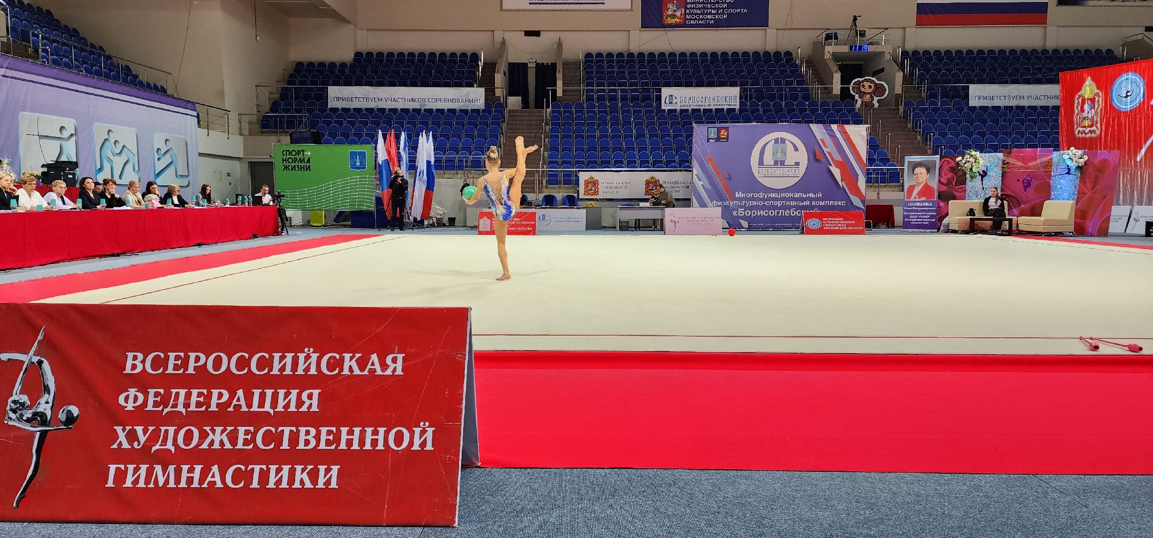 раменское, спорт, всероссийские соревнования по художественной гимнастике, ДС Борисоглебский,