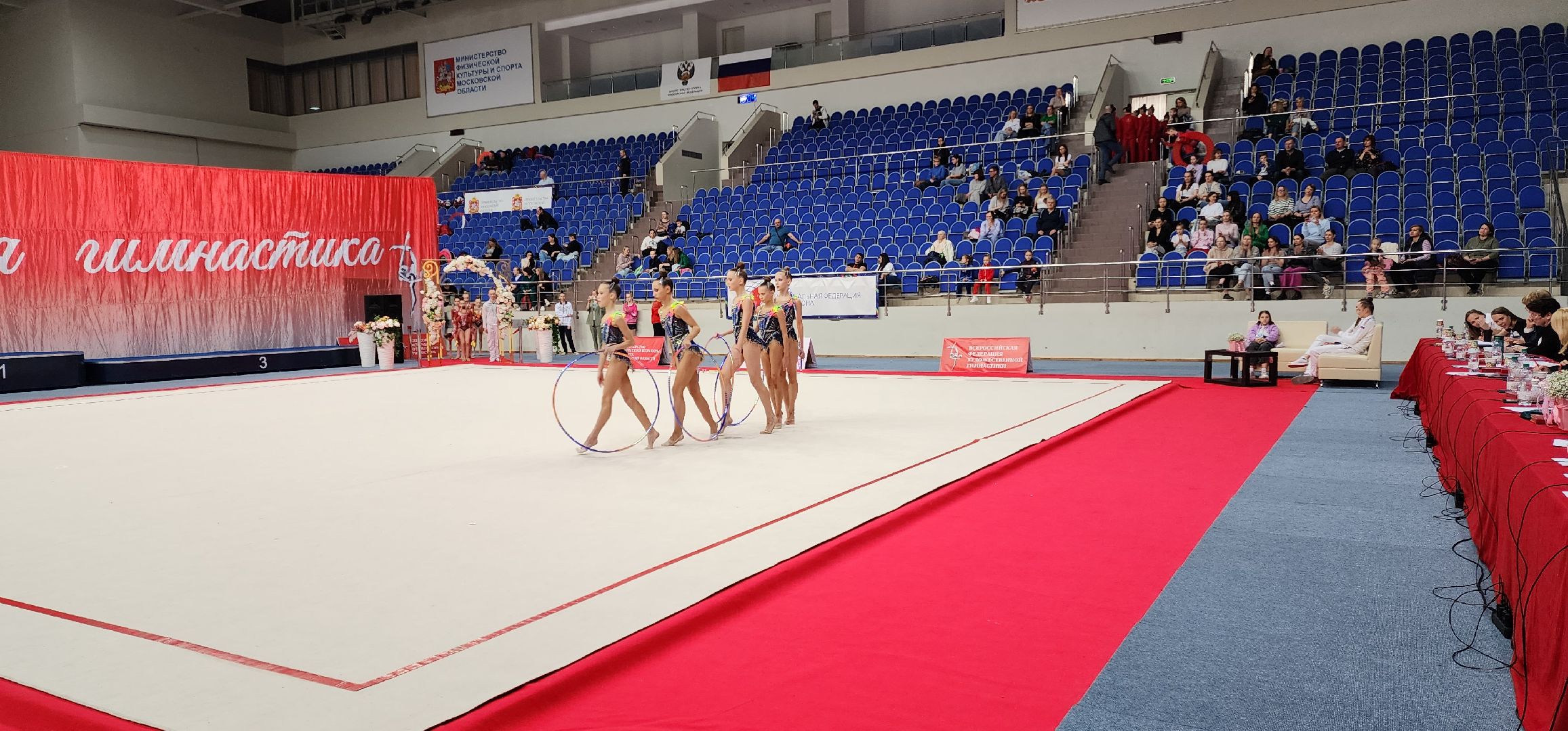 раменское, спорт, всероссийские соревнования по художественной гимнастике, ДС Борисоглебский,