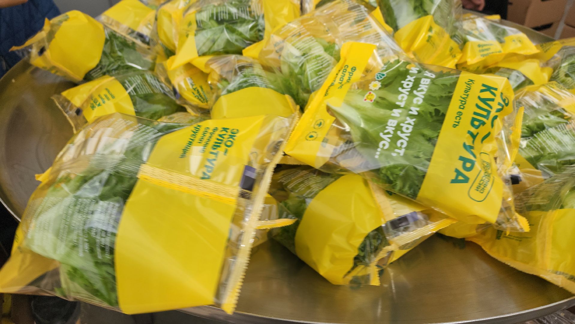 воскресенск, тепличный комплекс, салат, работа, труд, нацпроекты,