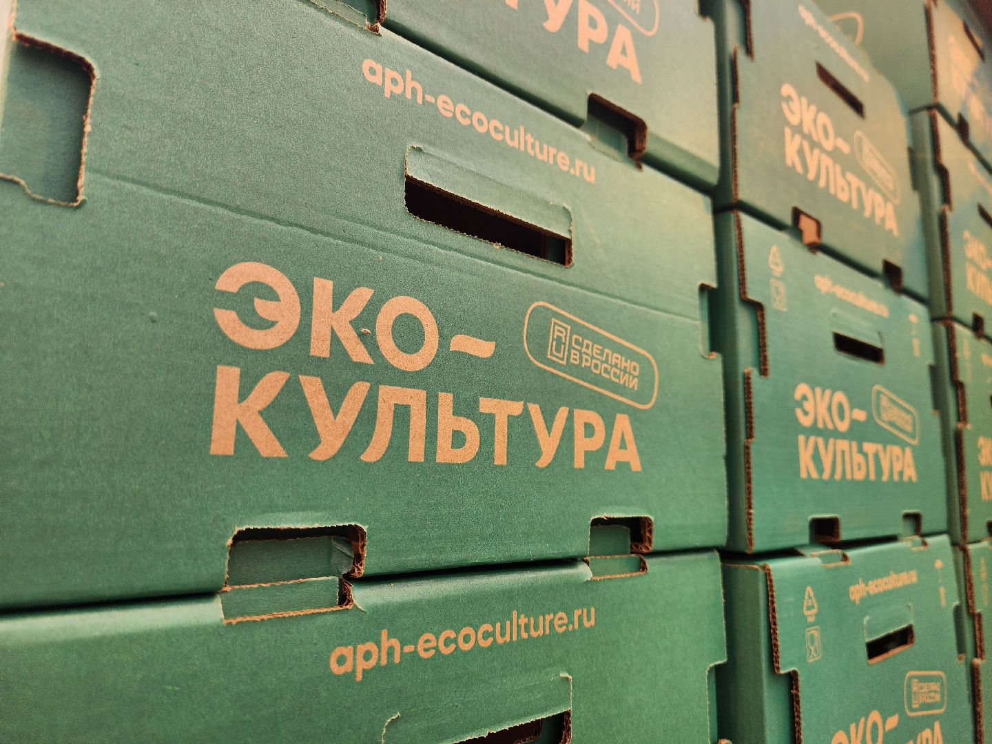 воскресенск, тепличный комплекс, салат, работа, труд, нацпроекты,