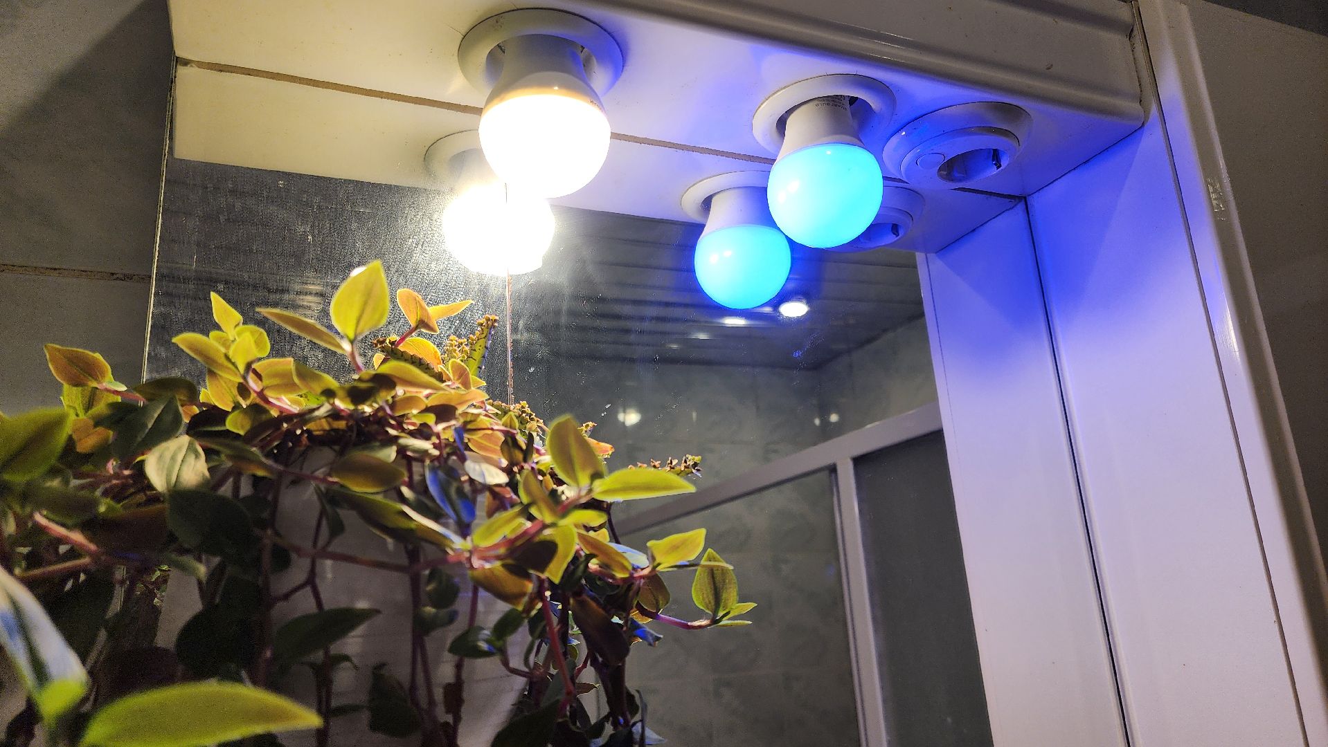 Подольск, Умный дом, Высокие технологии, Хобби, Год семьи,