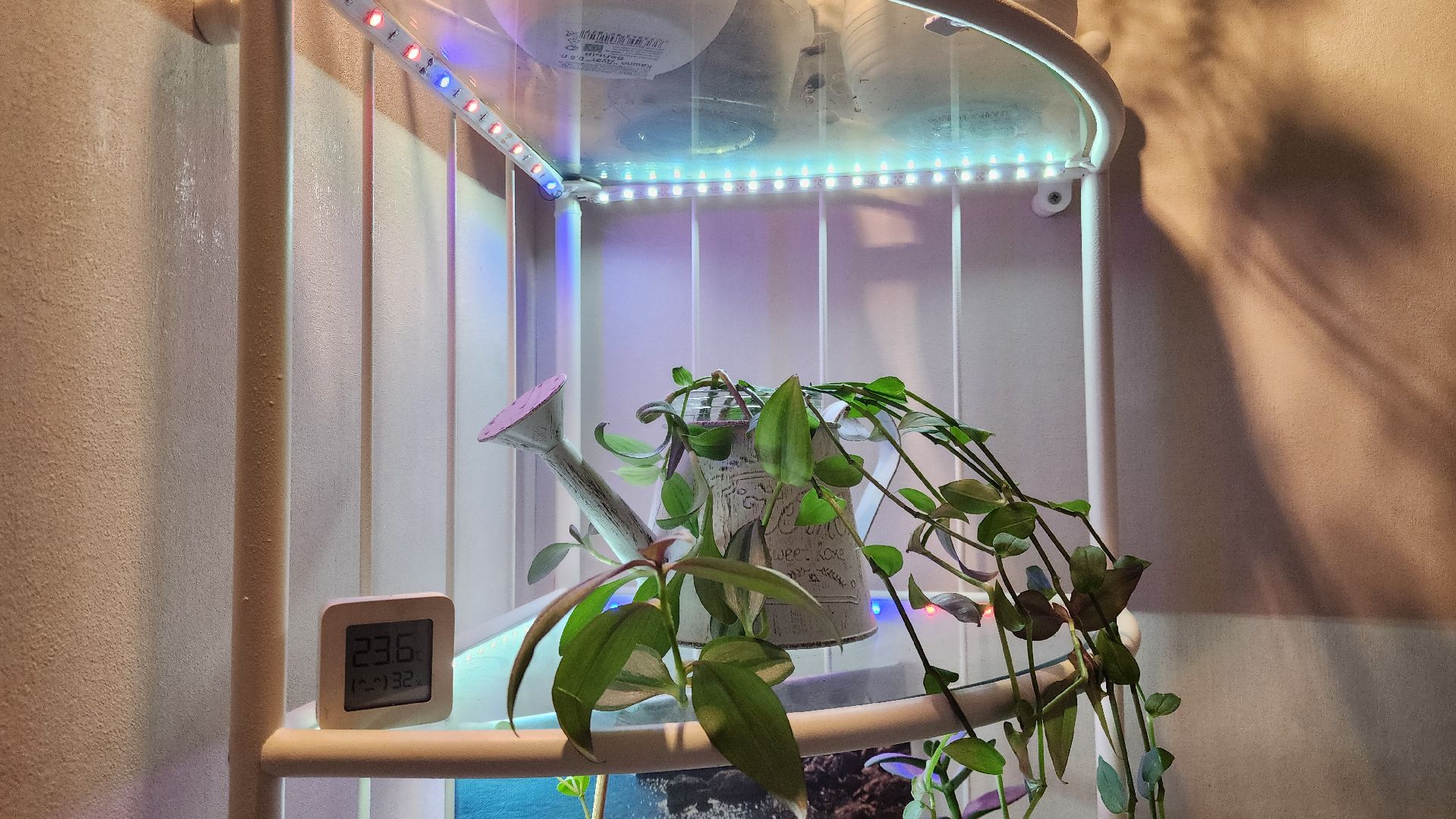 Подольск, Умный дом, Высокие технологии, Хобби, Год семьи,