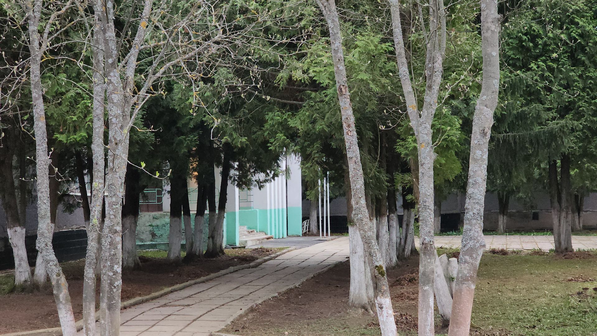 кашира, топканово, выездная администрация, начальная школа, первый класс, школа на селе,