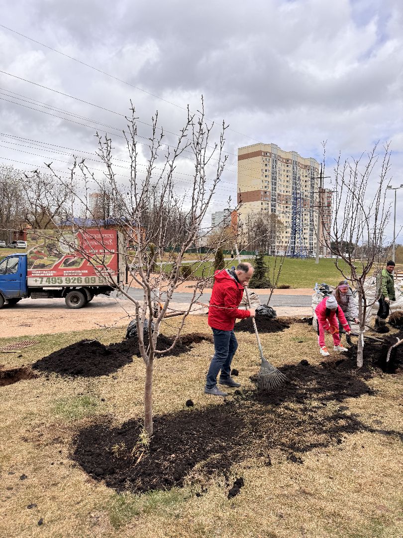 Одинцово, Благоустройство, Фруктовый сад,