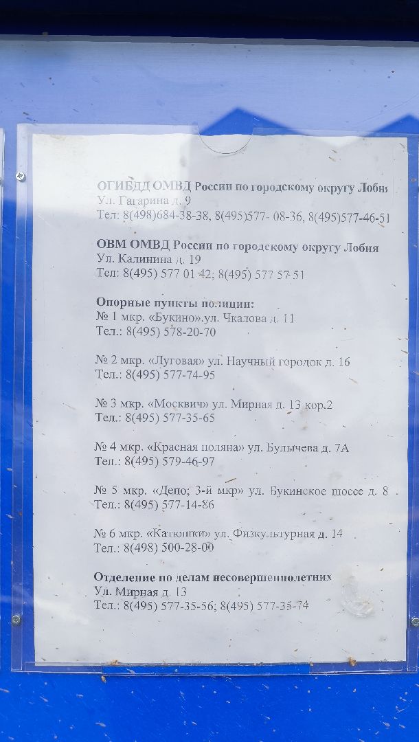 омвд, кража, полиция, лобня,