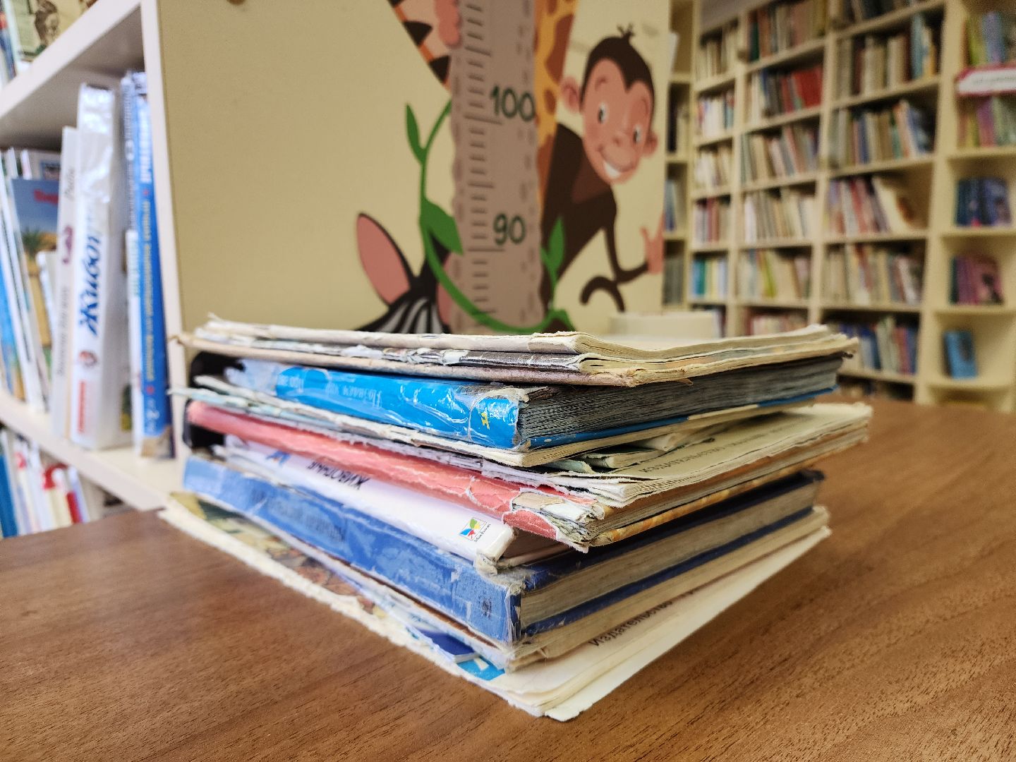 Библиотека, Книги, Реставрация, лобня,