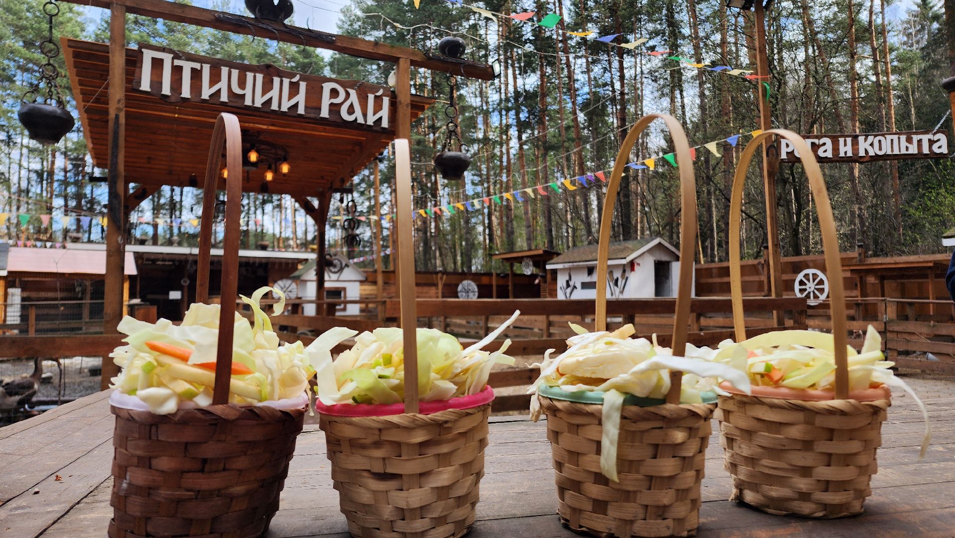 Точки притяжения, Культурный код, Министерство культуры, Подмосковье, туризм, туризм в подмосковье, Домодедово, Эко ферма, Гав гав парк, Парк Елочки, Культура,