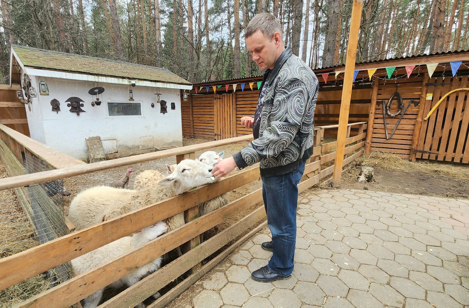 Точки притяжения, Культурный код, Министерство культуры, Подмосковье, туризм, туризм в подмосковье, Домодедово, Эко ферма, Гав гав парк, Парк Елочки, Культура,