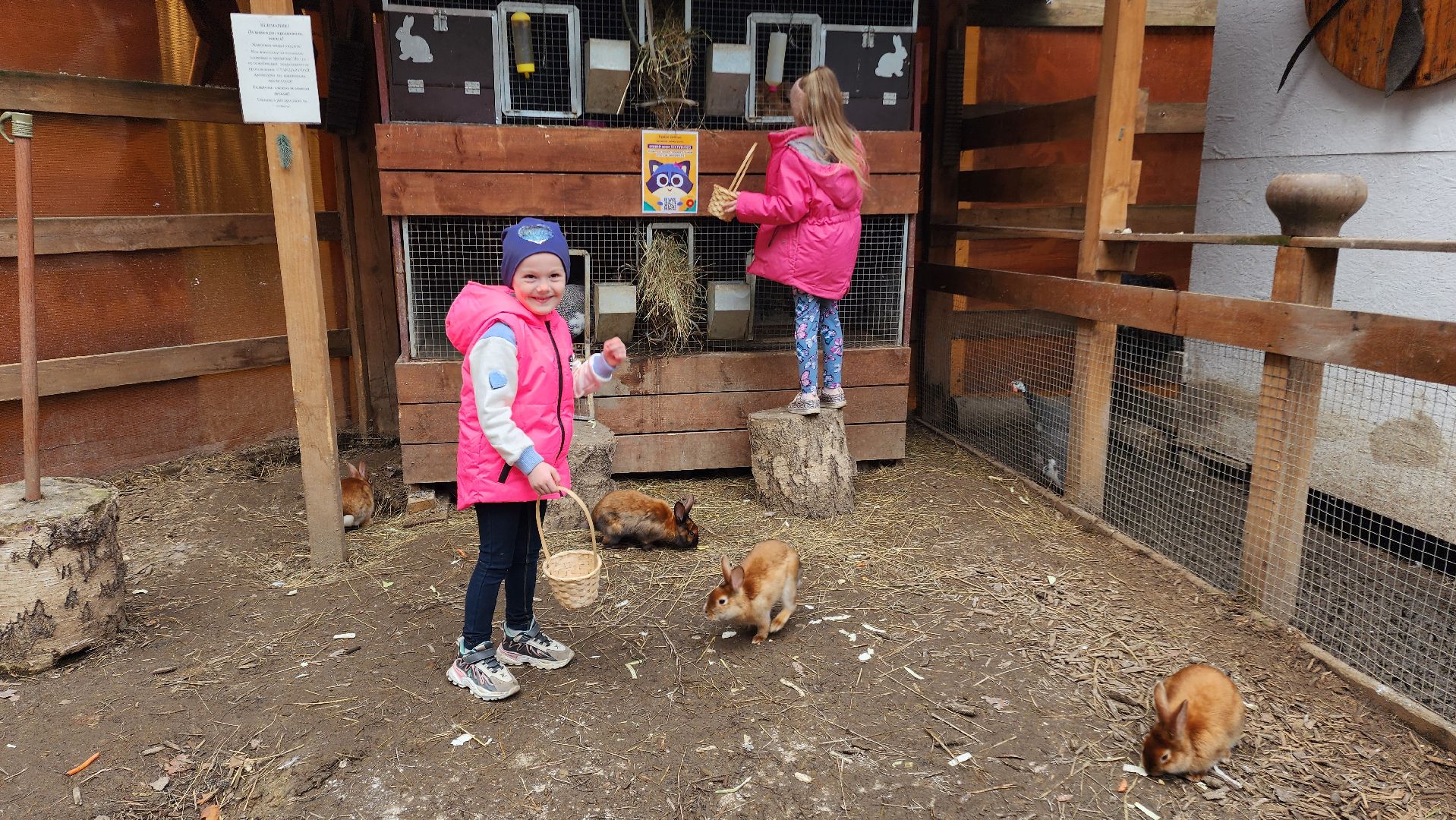 Точки притяжения, Культурный код, Министерство культуры, Подмосковье, туризм, туризм в подмосковье, Домодедово, Эко ферма, Гав гав парк, Парк Елочки, Культура,