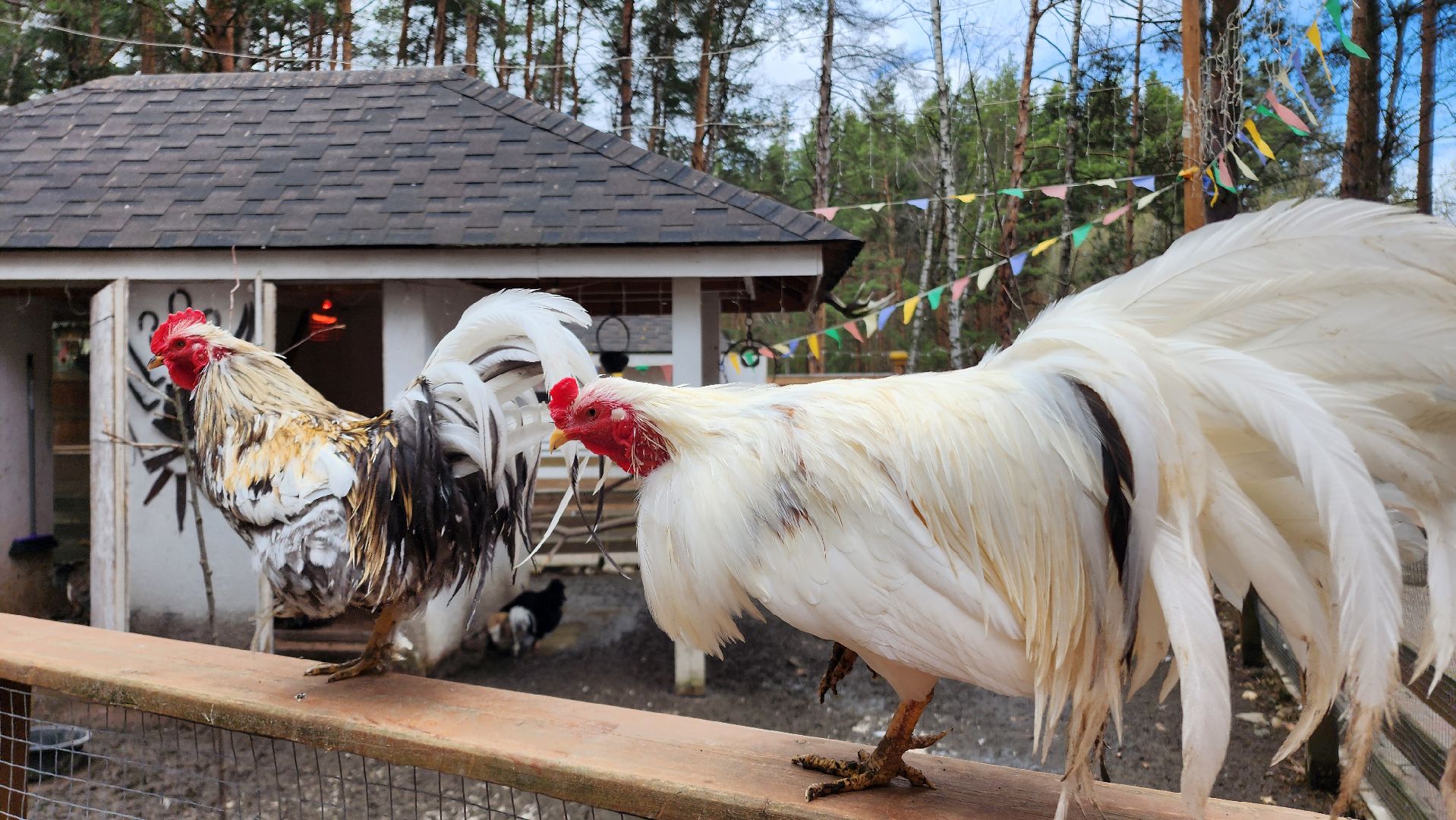 Точки притяжения, Культурный код, Министерство культуры, Подмосковье, туризм, туризм в подмосковье, Домодедово, Эко ферма, Гав гав парк, Парк Елочки, Культура,