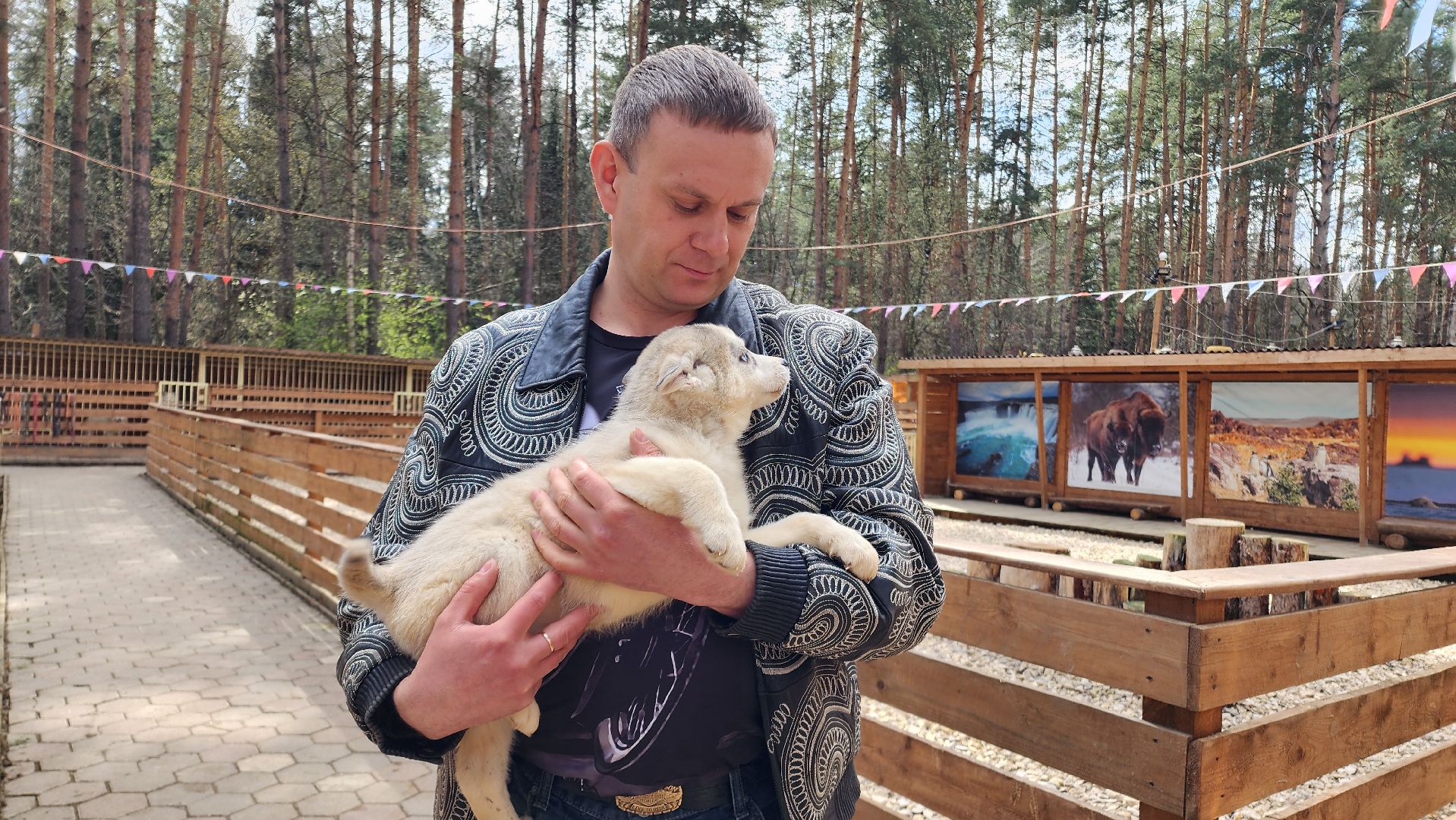 Точки притяжения, Культурный код, Министерство культуры, Подмосковье, туризм, туризм в подмосковье, Домодедово, Эко ферма, Гав гав парк, Парк Елочки, Культура,