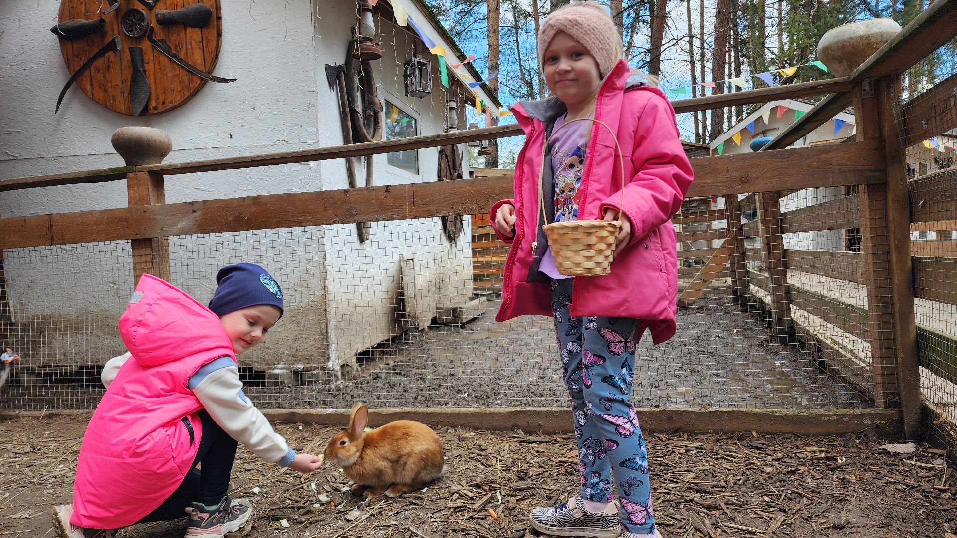 Точки притяжения, Культурный код, Министерство культуры, Подмосковье, туризм, туризм в подмосковье, Домодедово, Эко ферма, Гав гав парк, Парк Елочки, Культура,