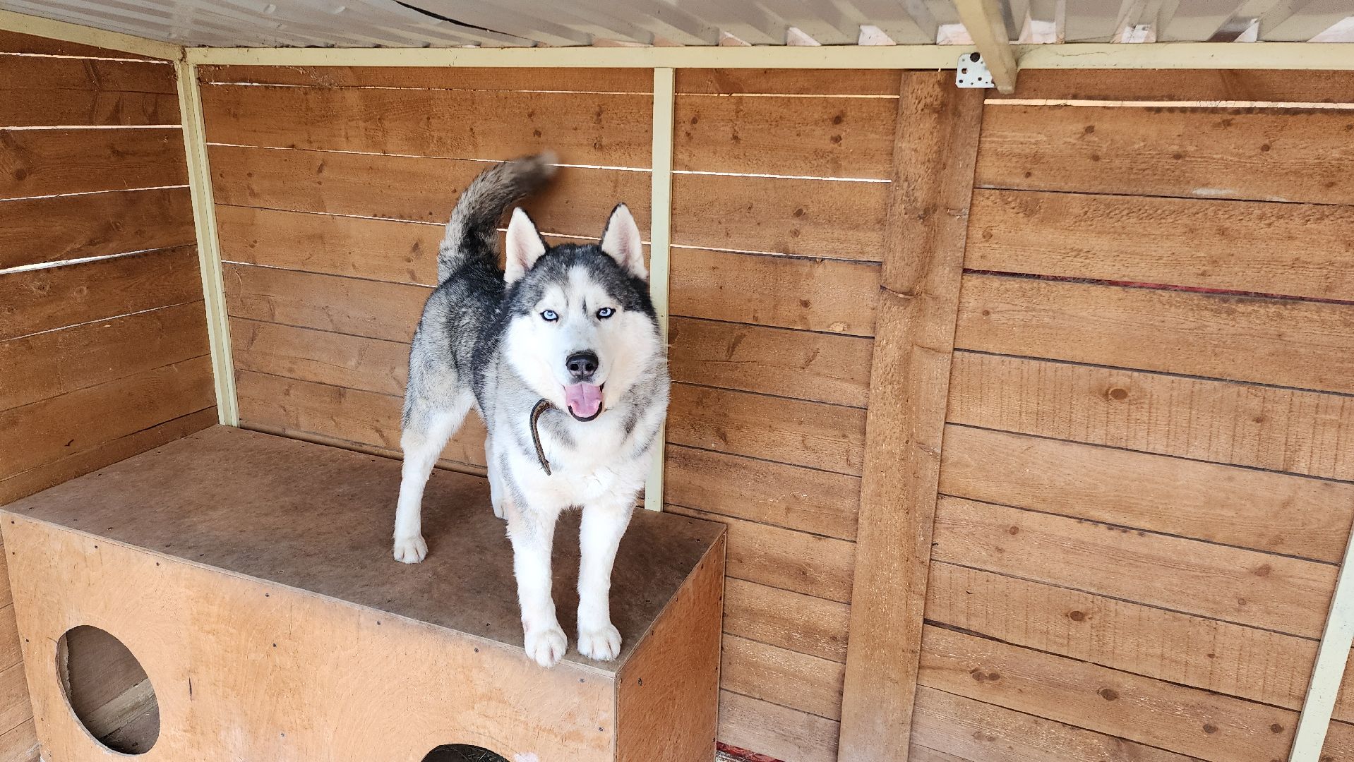 Точки притяжения, Культурный код, Министерство культуры, Подмосковье, туризм, туризм в подмосковье, Домодедово, Эко ферма, Гав гав парк, Парк Елочки, Культура,