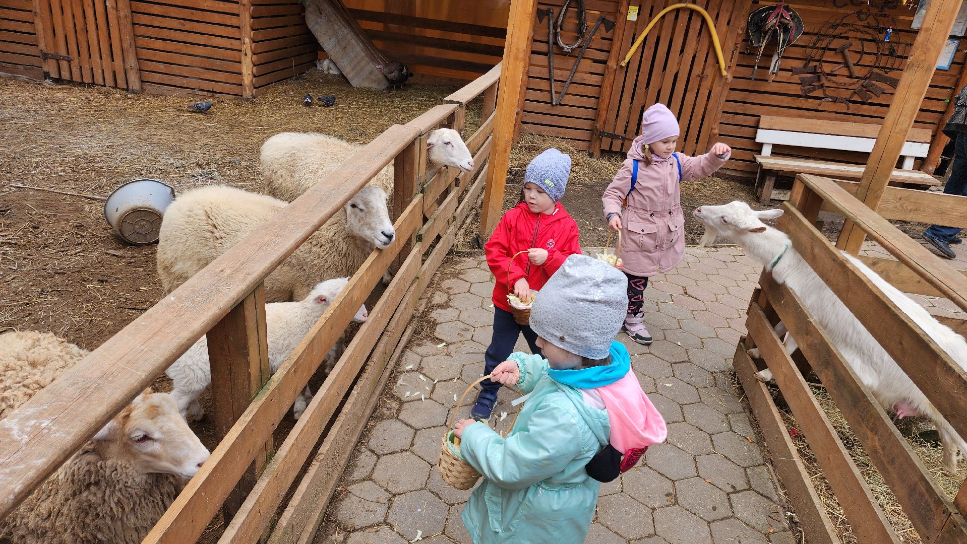 Точки притяжения, Культурный код, Министерство культуры, Подмосковье, туризм, туризм в подмосковье, Домодедово, Эко ферма, Гав гав парк, Парк Елочки, Культура,