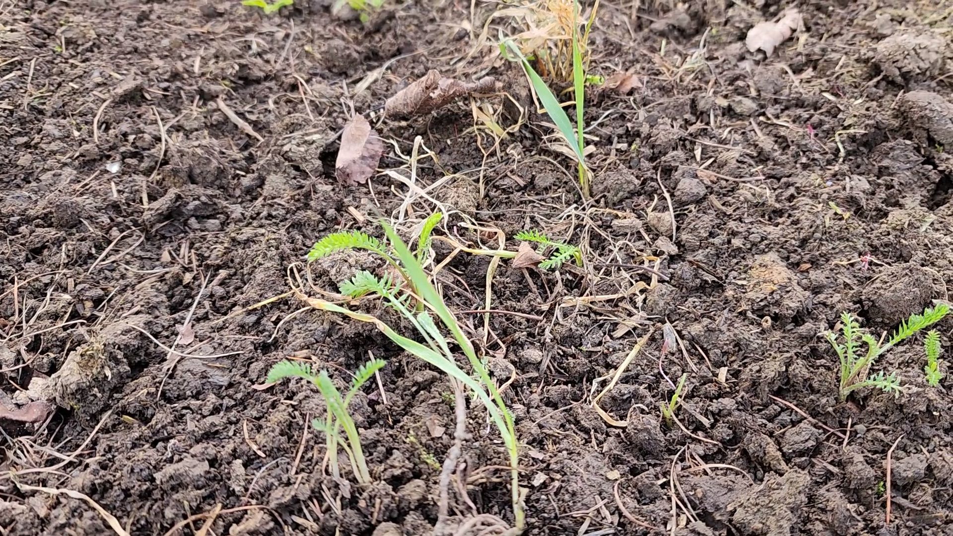 образование подмосковья, агроклассы подмосковья, ступино,