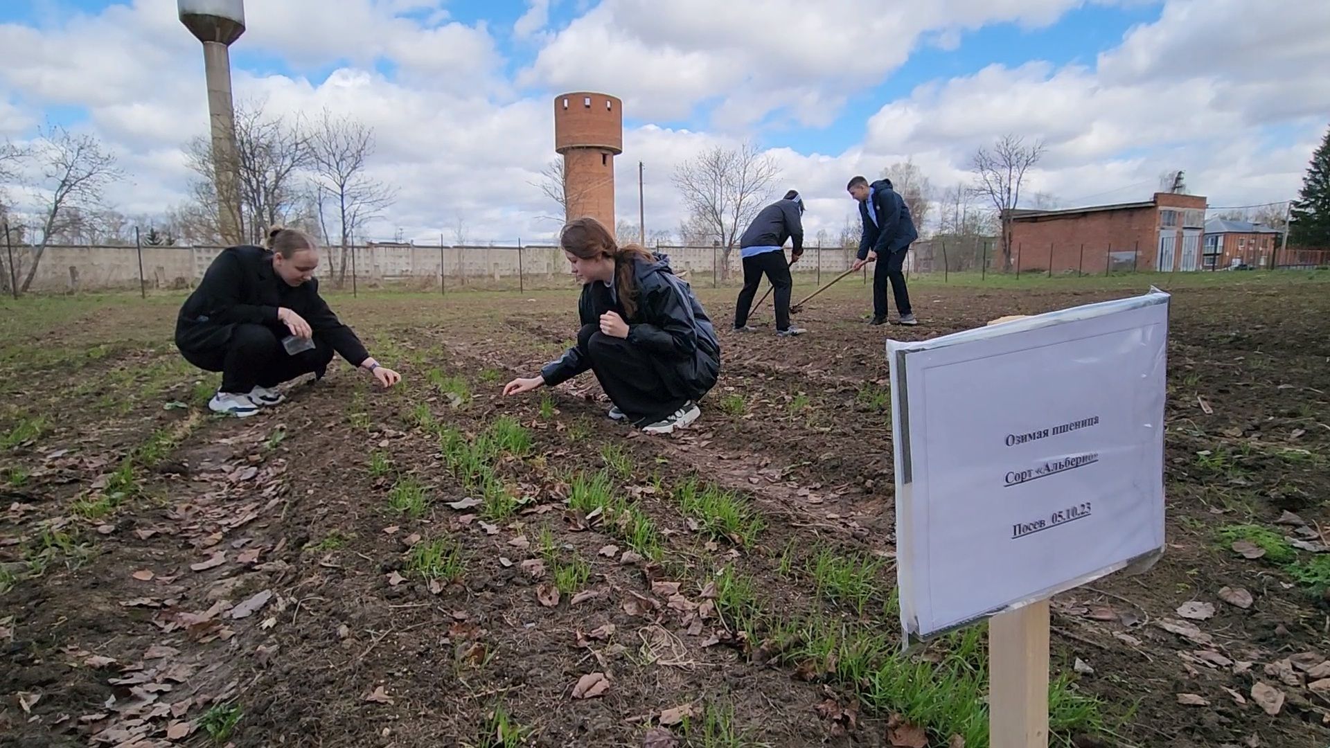 образование подмосковья, агроклассы подмосковья, ступино,