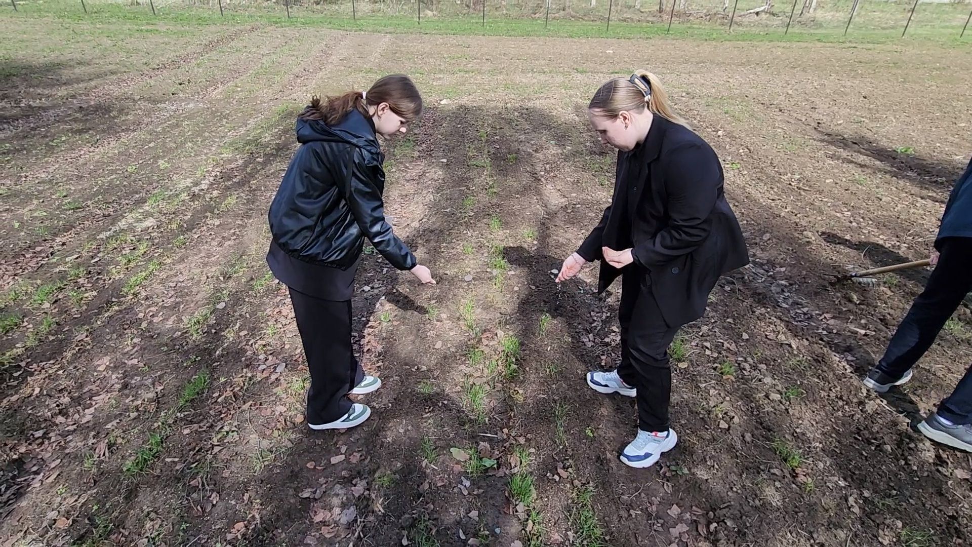 образование подмосковья, агроклассы подмосковья, ступино,