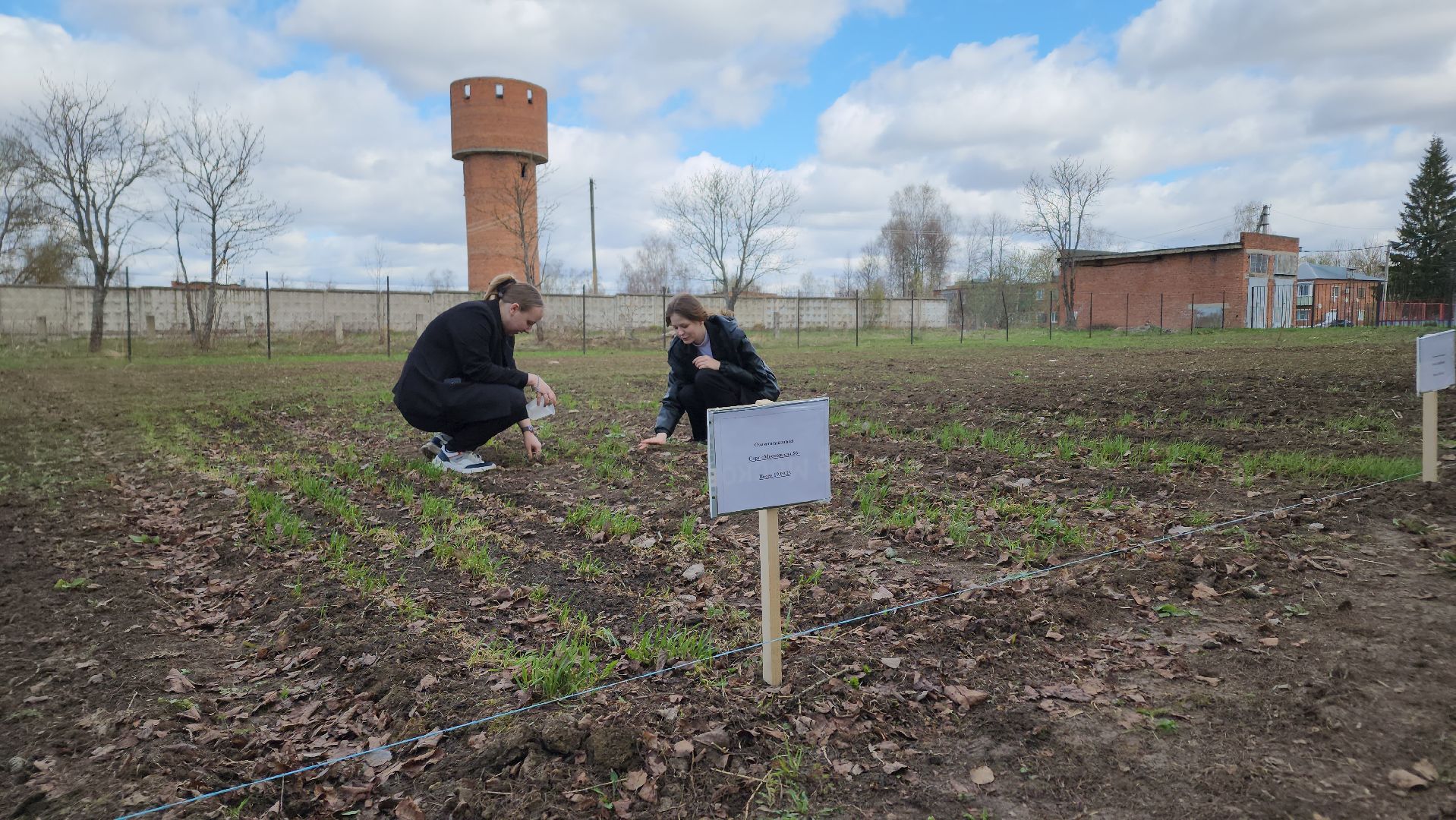образование подмосковья, агроклассы подмосковья, ступино,